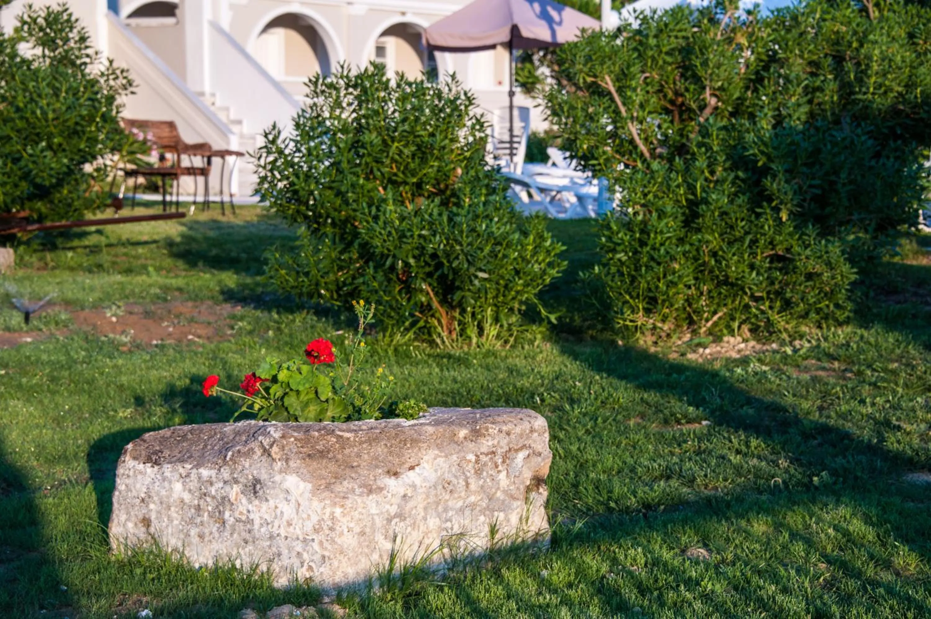 Garden in Klelia Beach Hotel by Zante Plaza