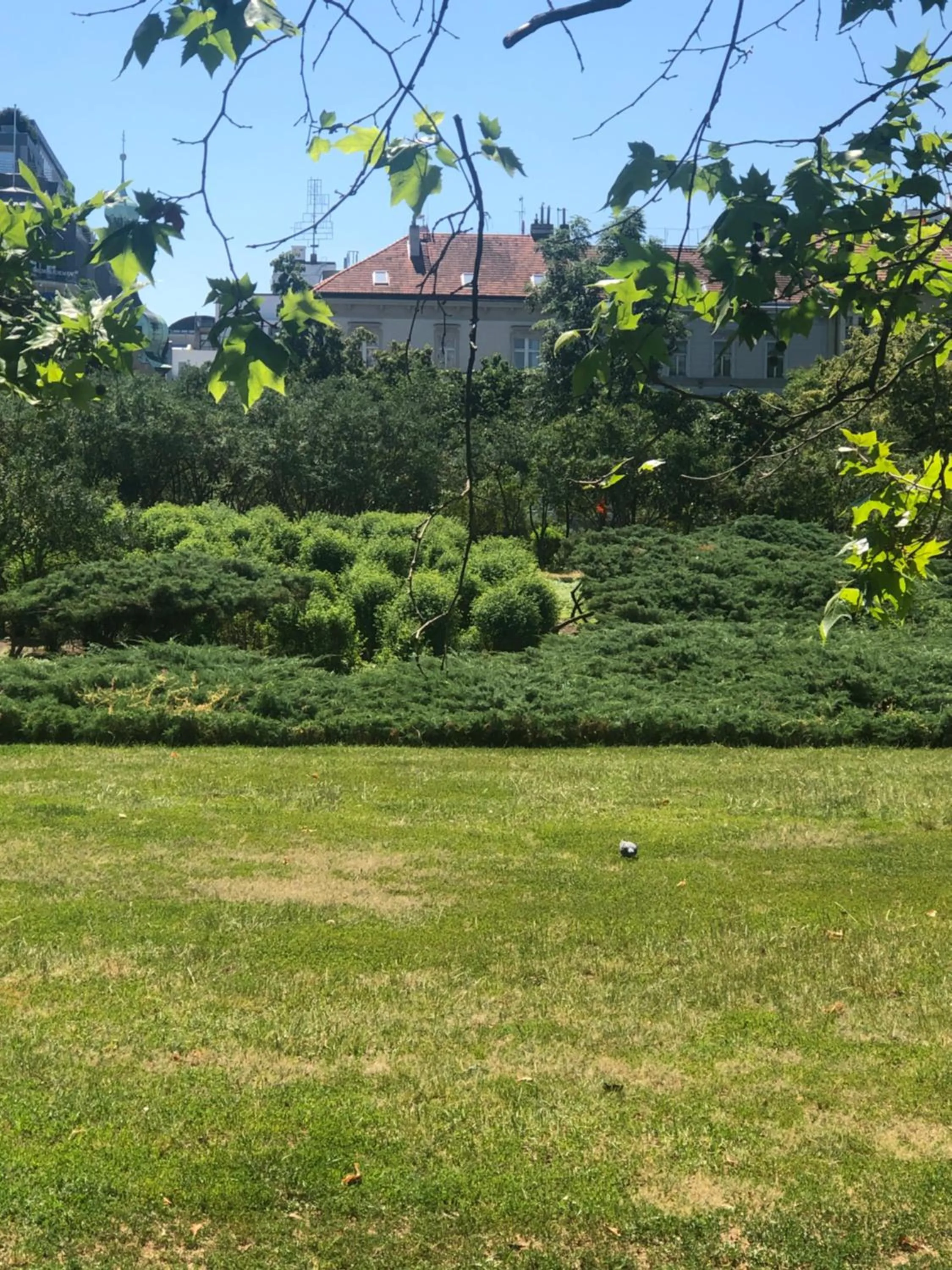 Natural landscape in OLD TOWN SPIRIT