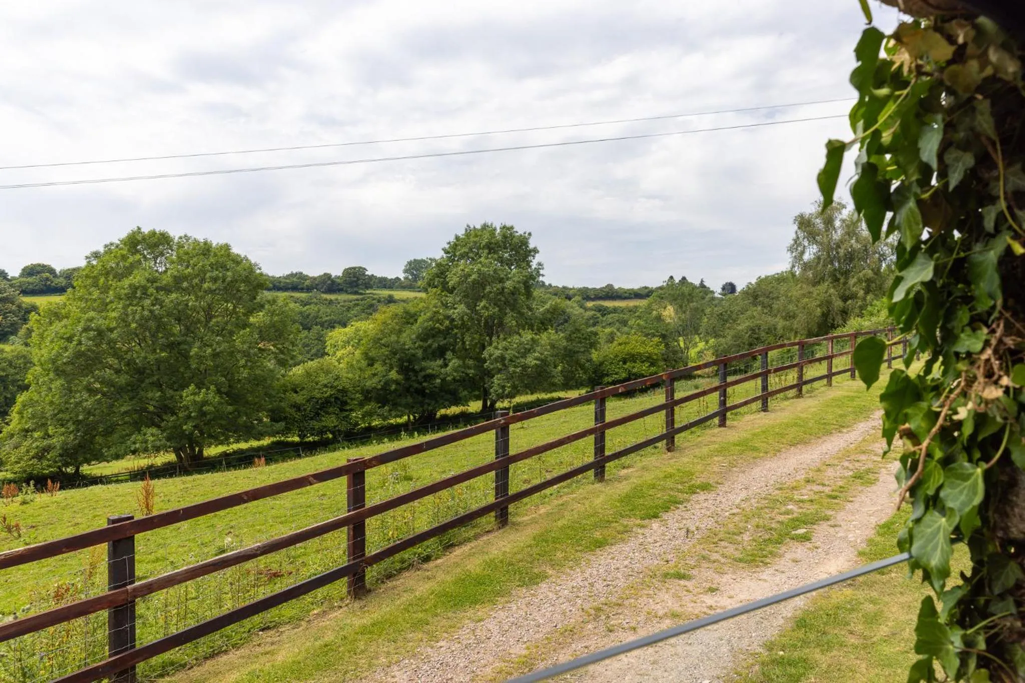 View (from property/room) in Welsh Marches at Upper Glyn Farm