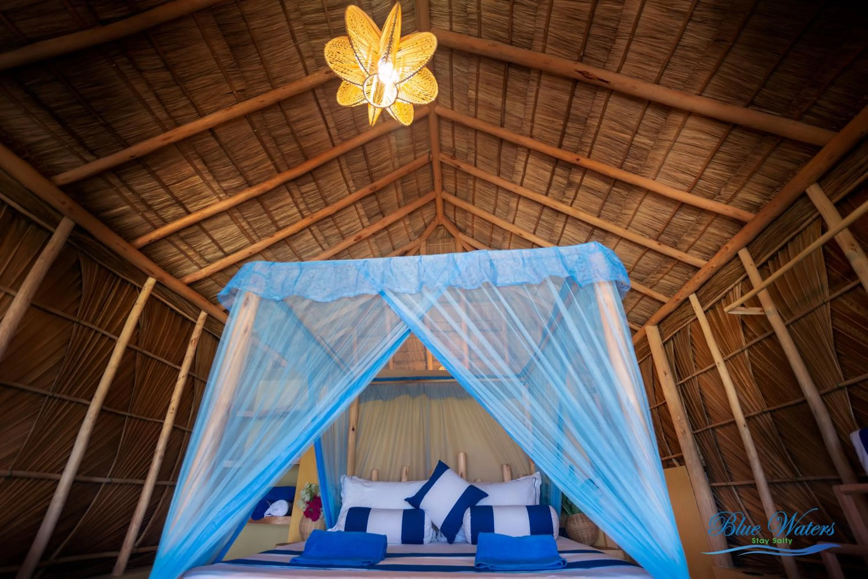 Photo of the whole room in Blue Waters