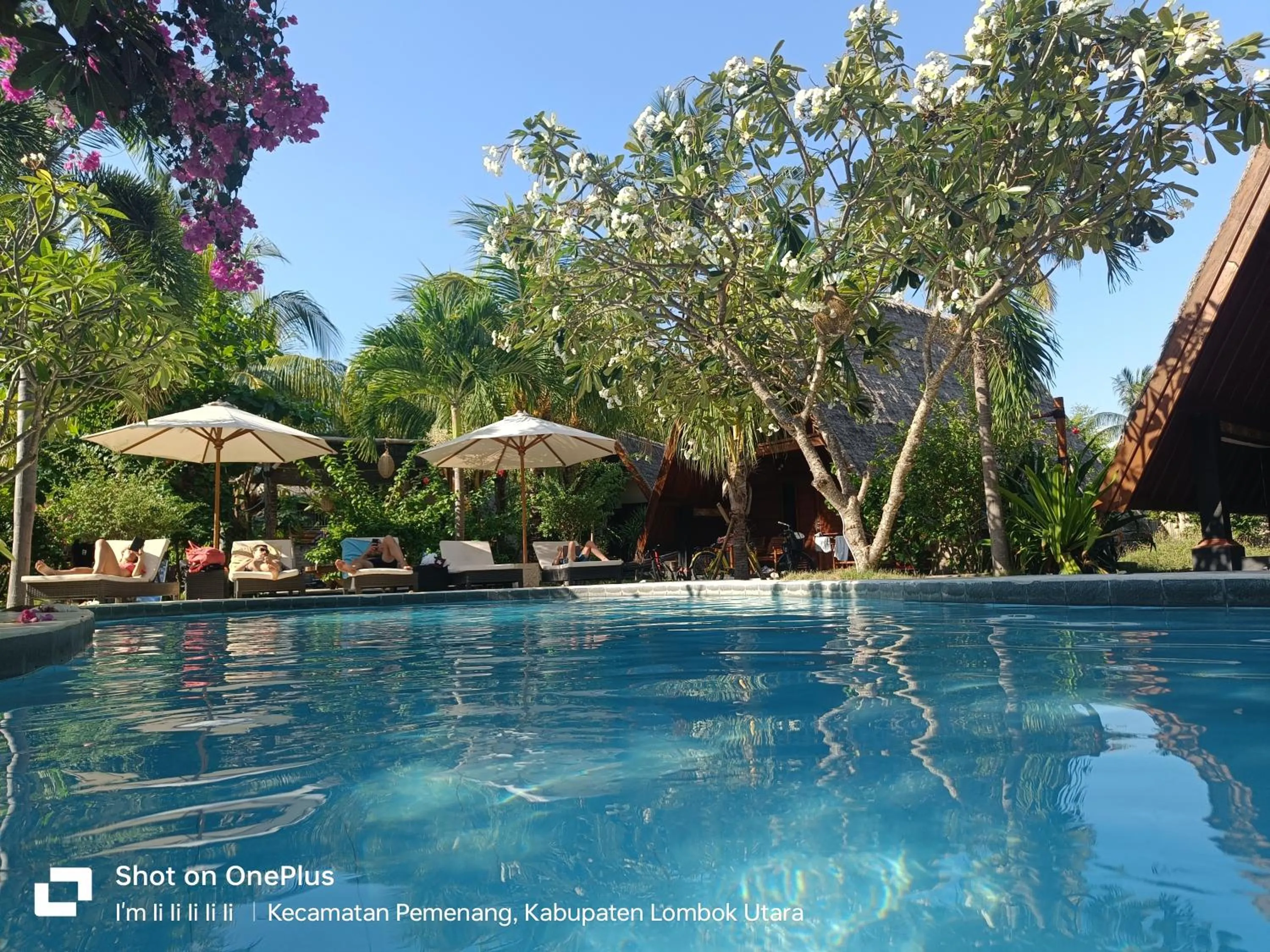 Swimming pool in Lucy's Garden Hotel