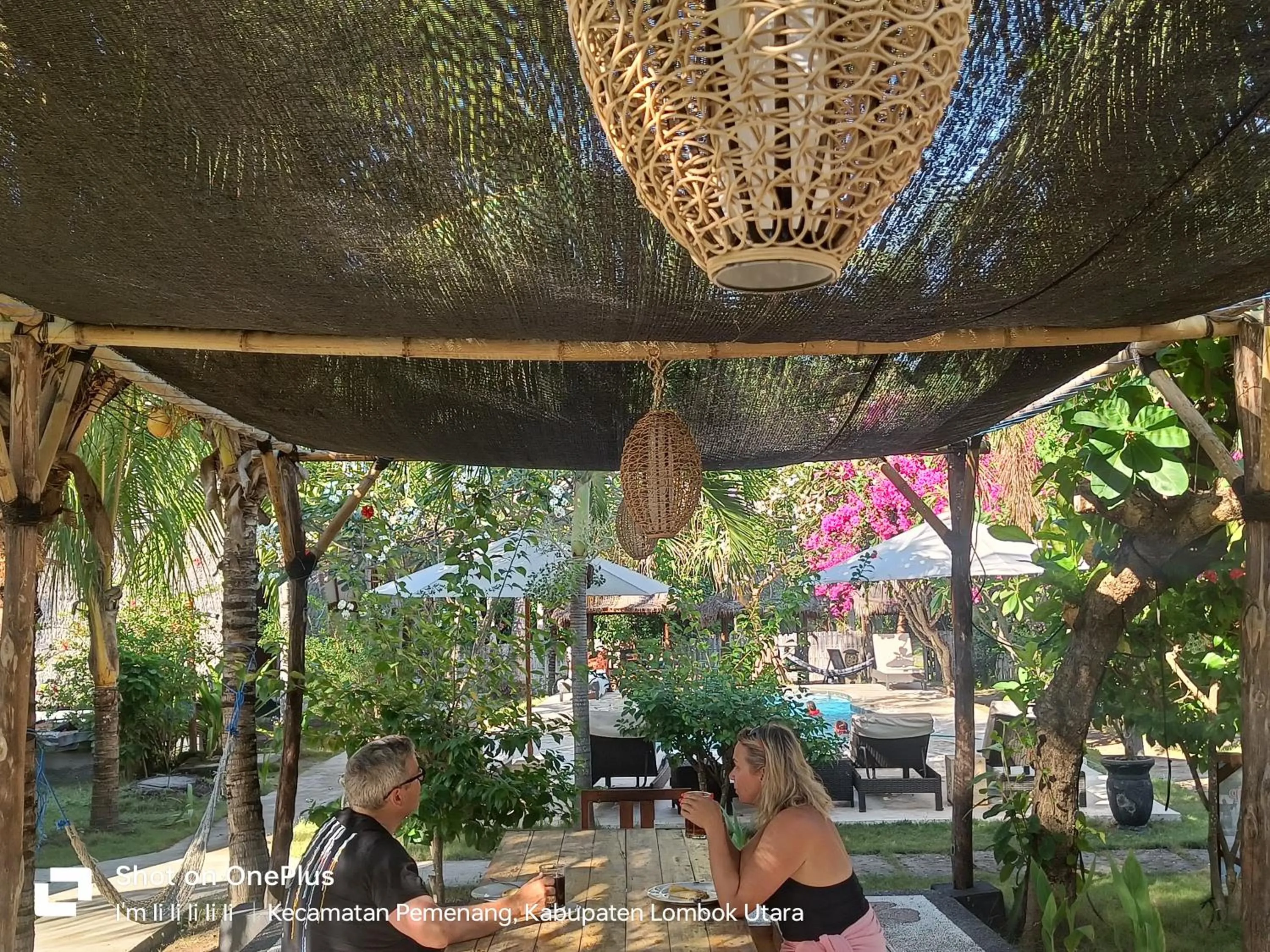 Garden in Lucy's Garden Hotel