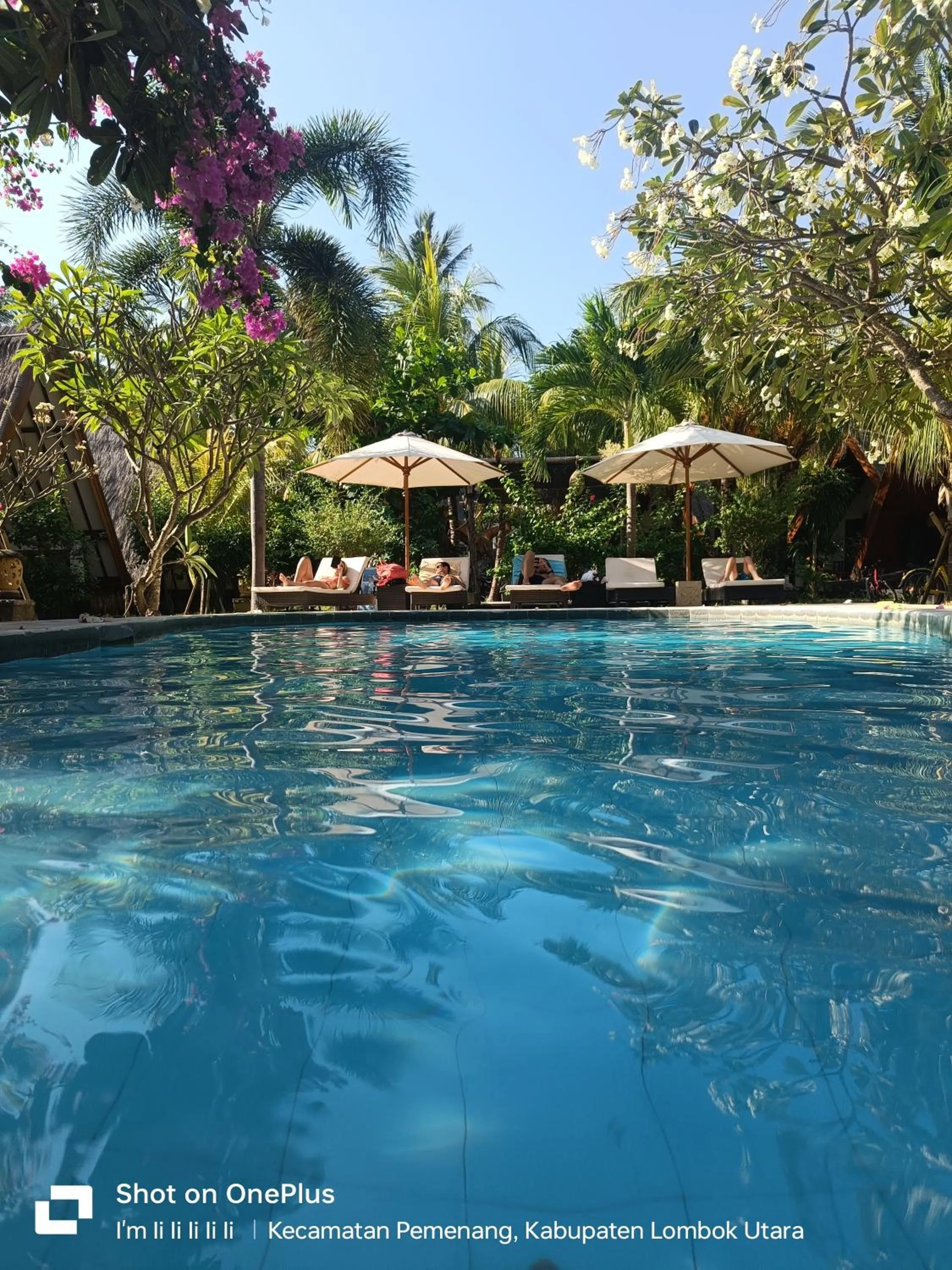 Swimming pool in Lucy's Garden Hotel