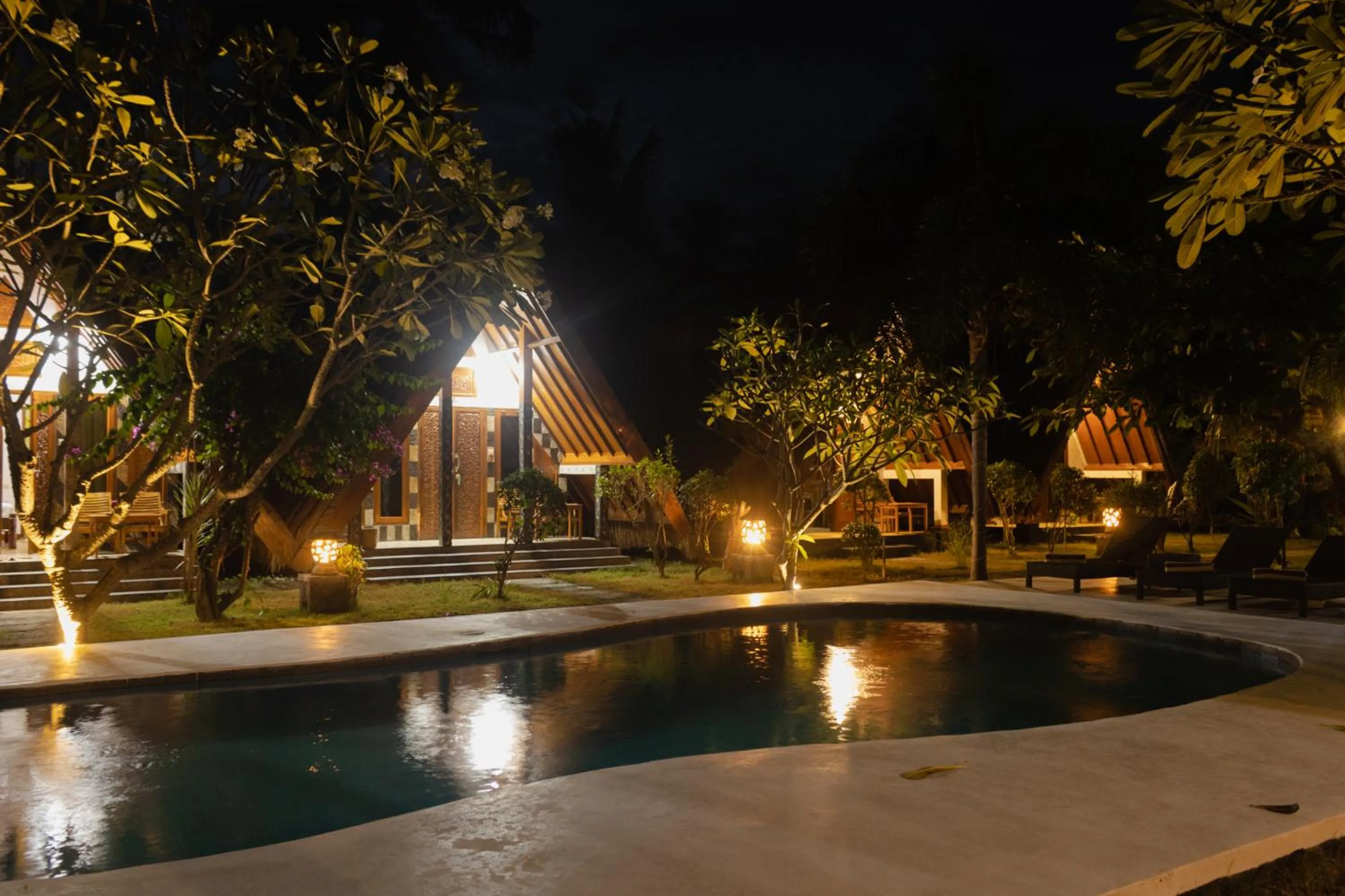 Night in Lucy's Garden Hotel