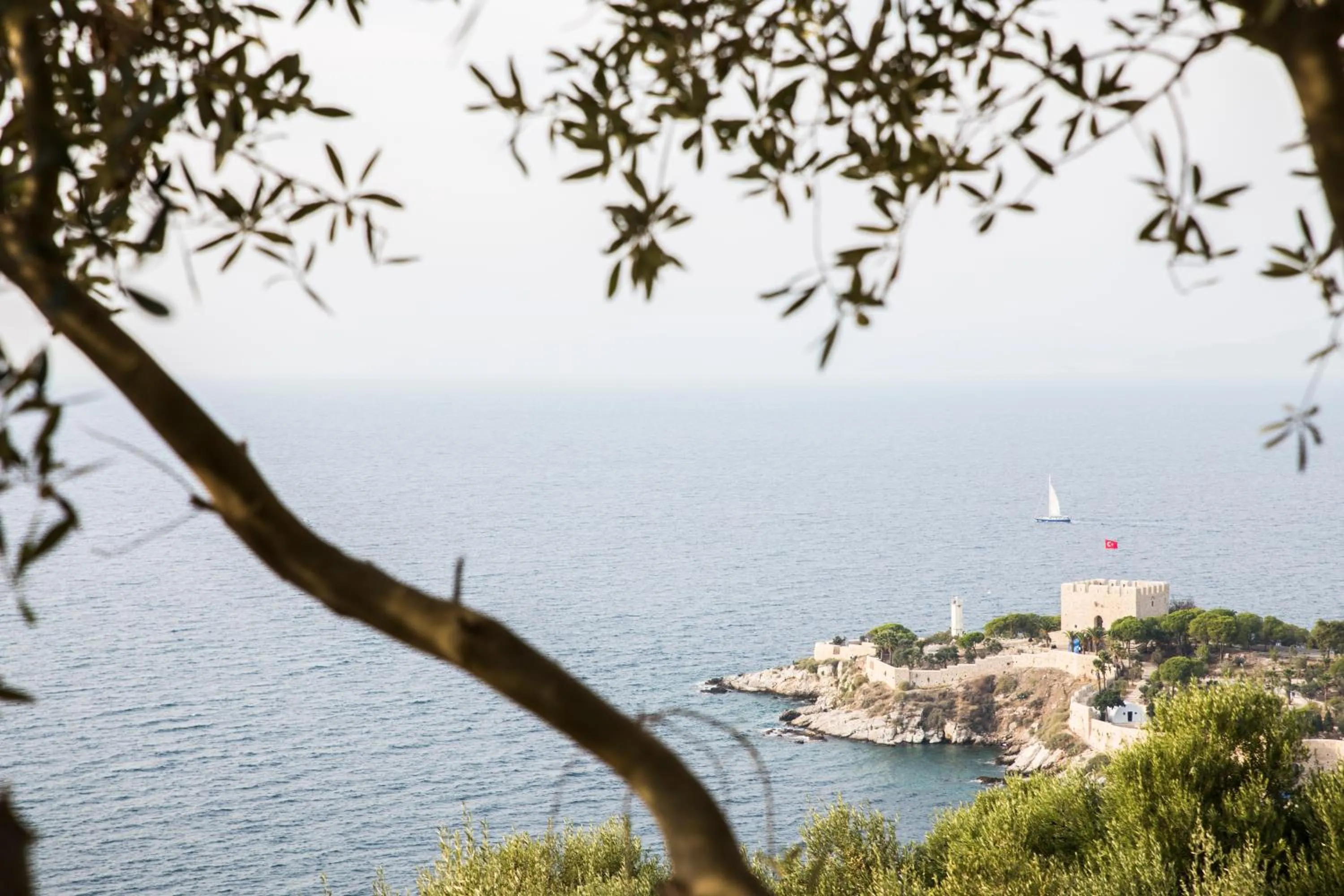 Natural landscape in Neopol Hotel