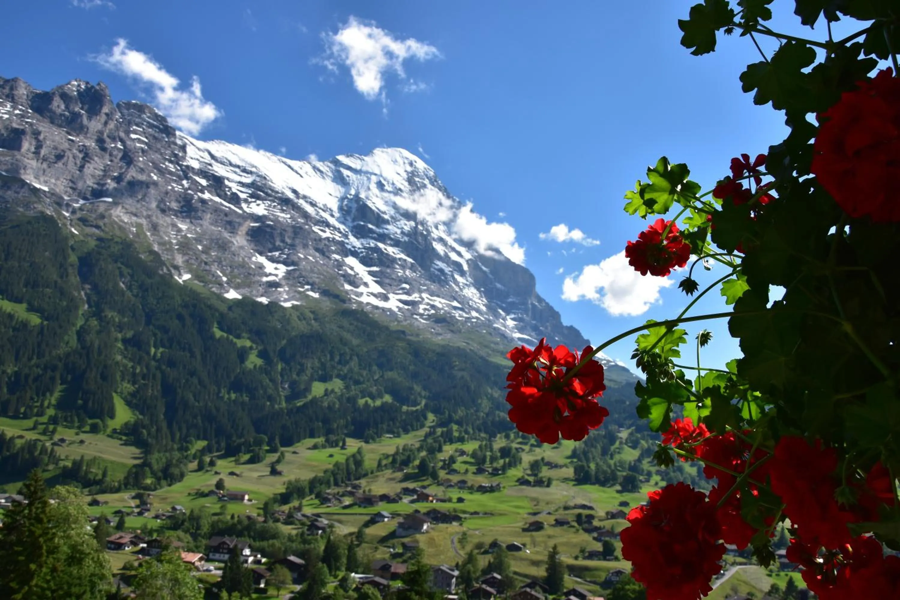Natural landscape in Hotel Cabana