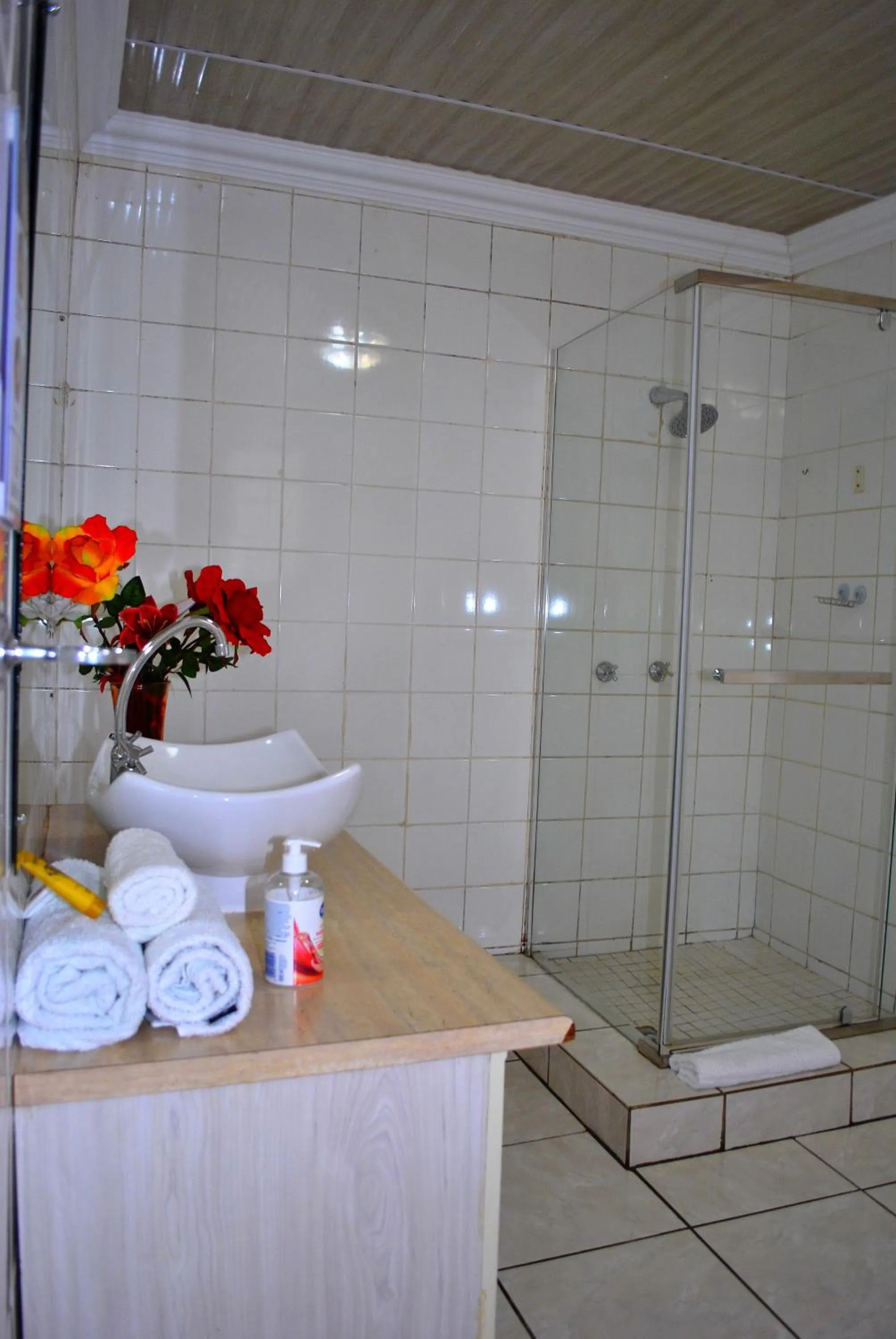 Bathroom in Lapologa Bed & Breakfast