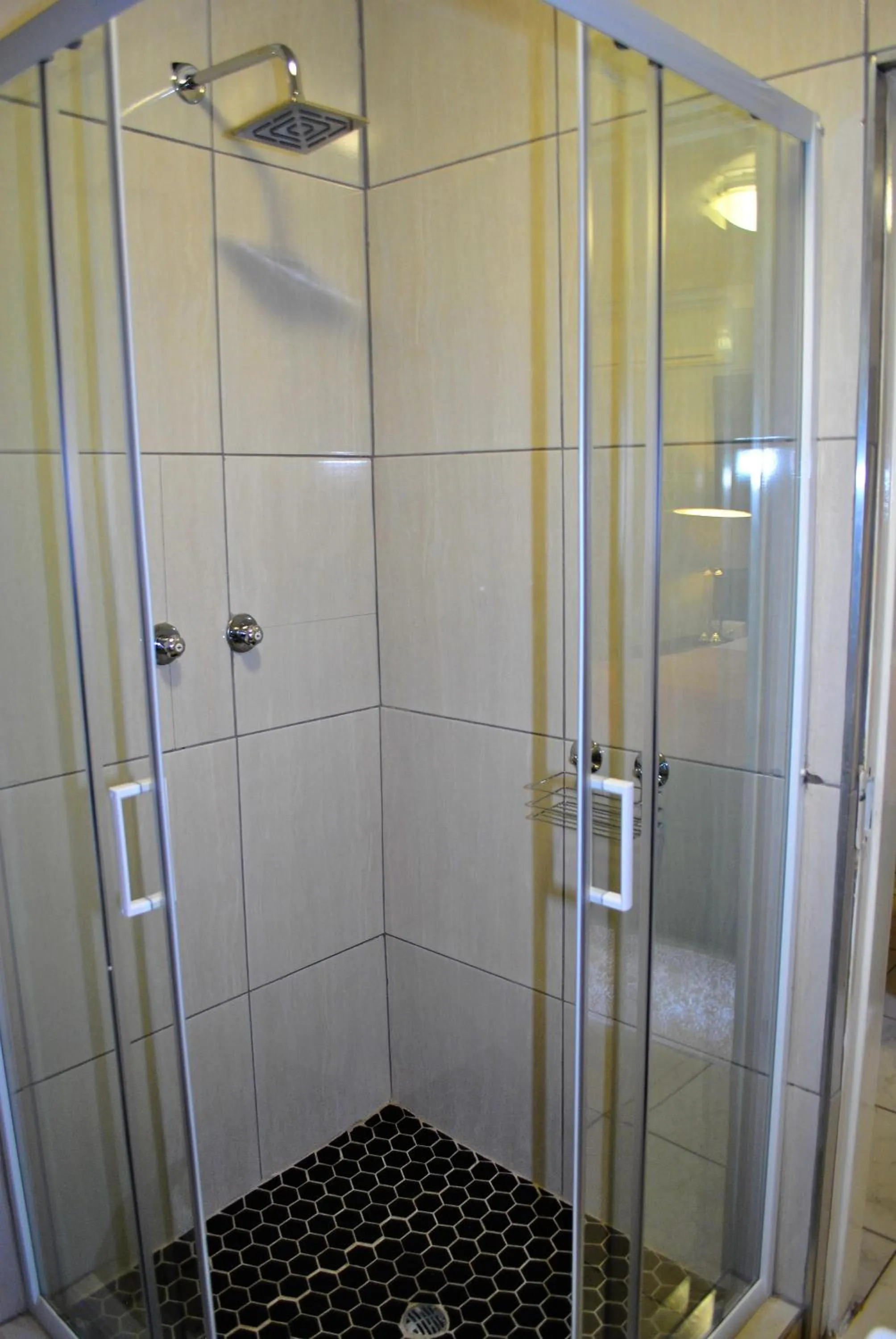 Shower in Lapologa Bed & Breakfast