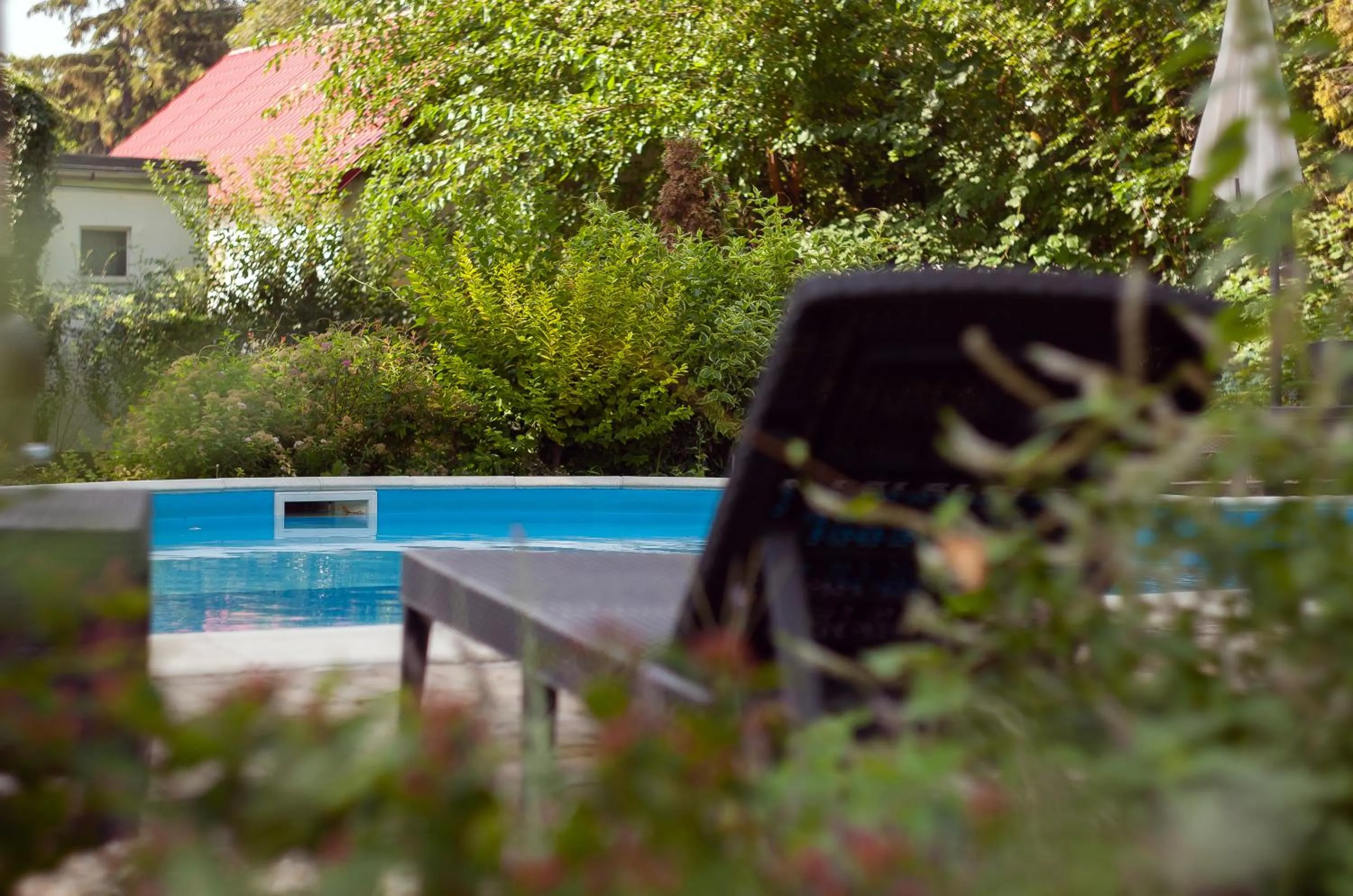 Day in Platán Garden & Rooms Zamárdi - volt Hotel Platán