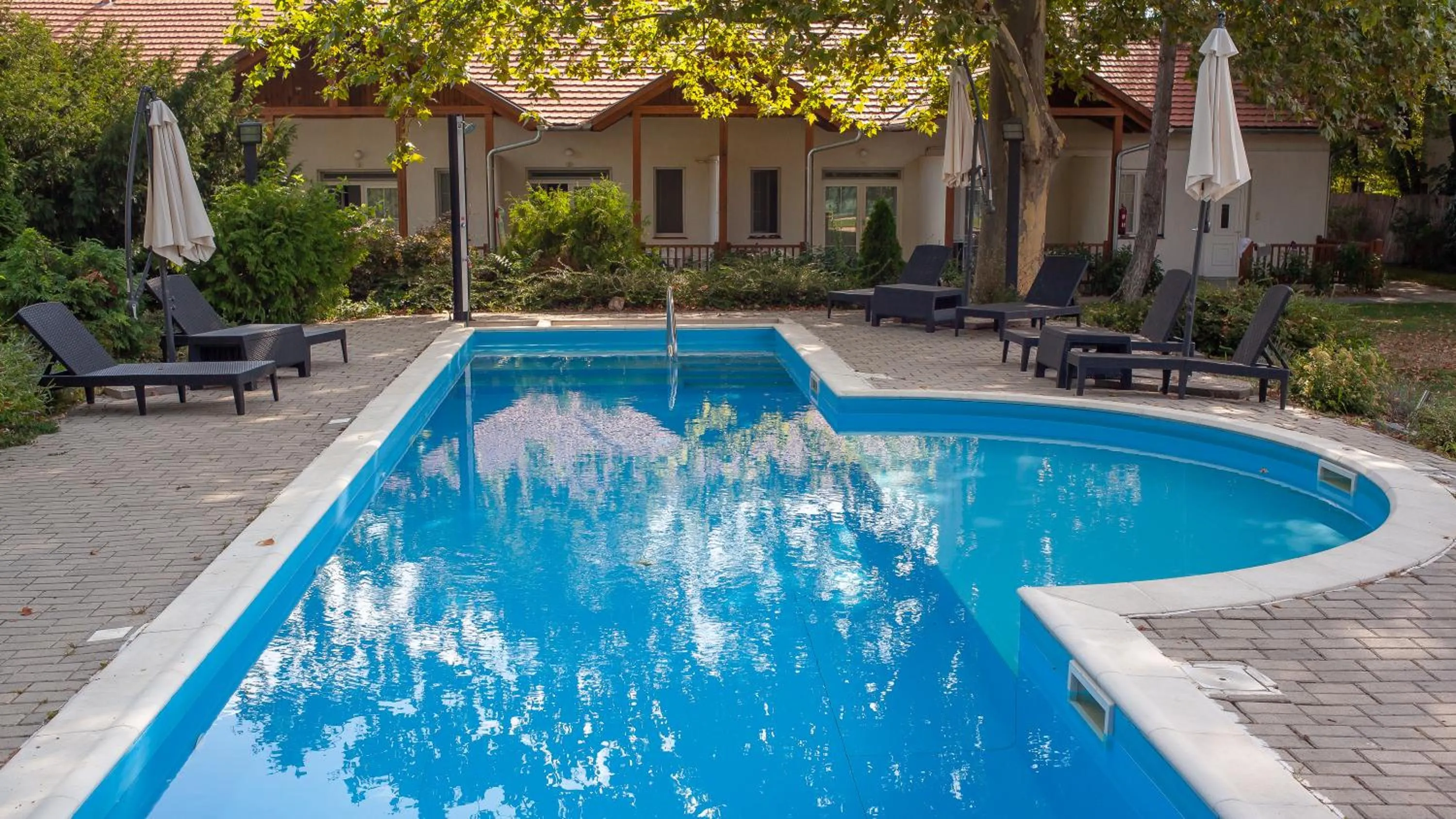 Swimming pool in Platán Garden & Rooms Zamárdi - volt Hotel Platán