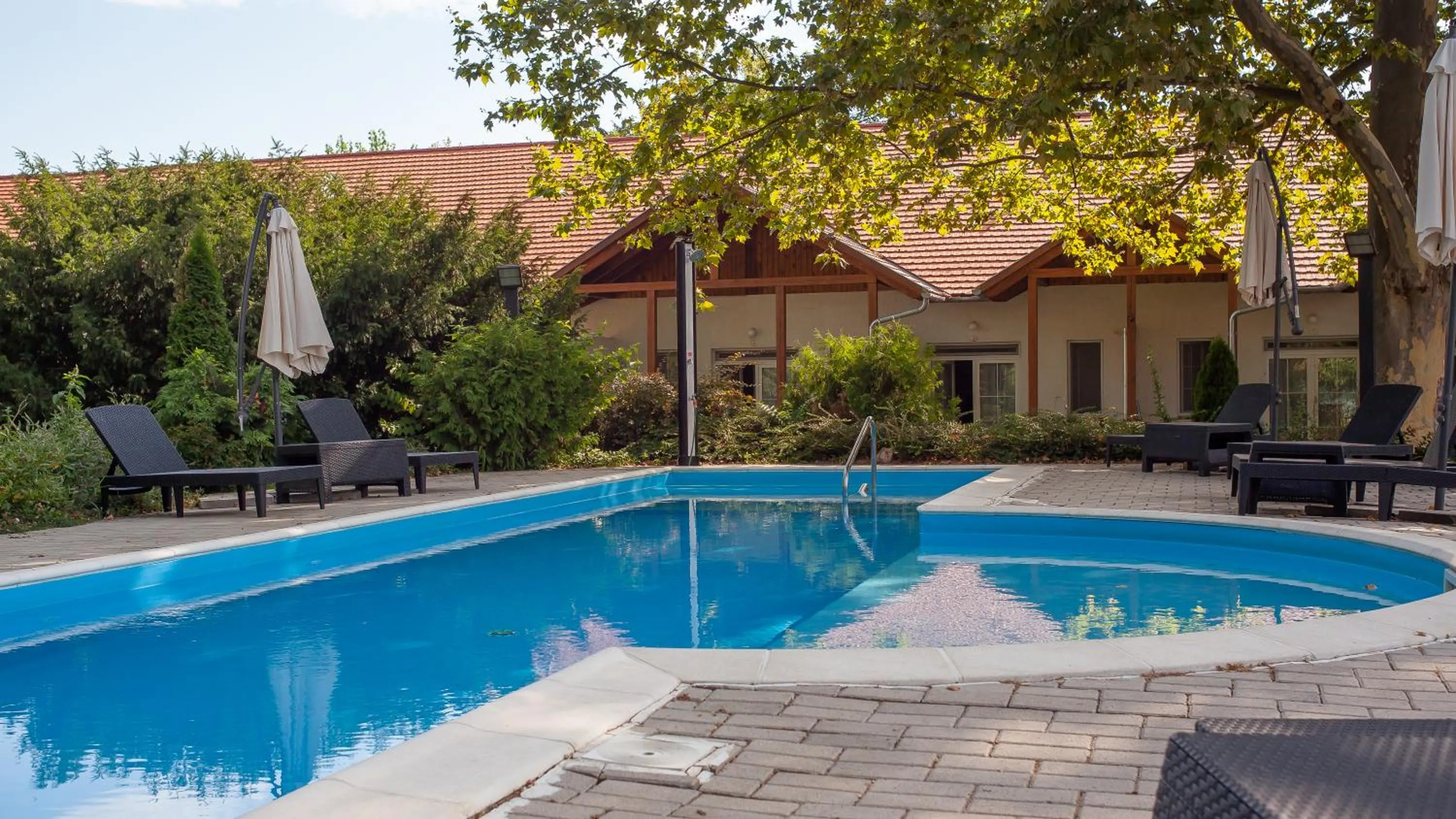 Swimming pool in Platán Garden & Rooms Zamárdi - volt Hotel Platán