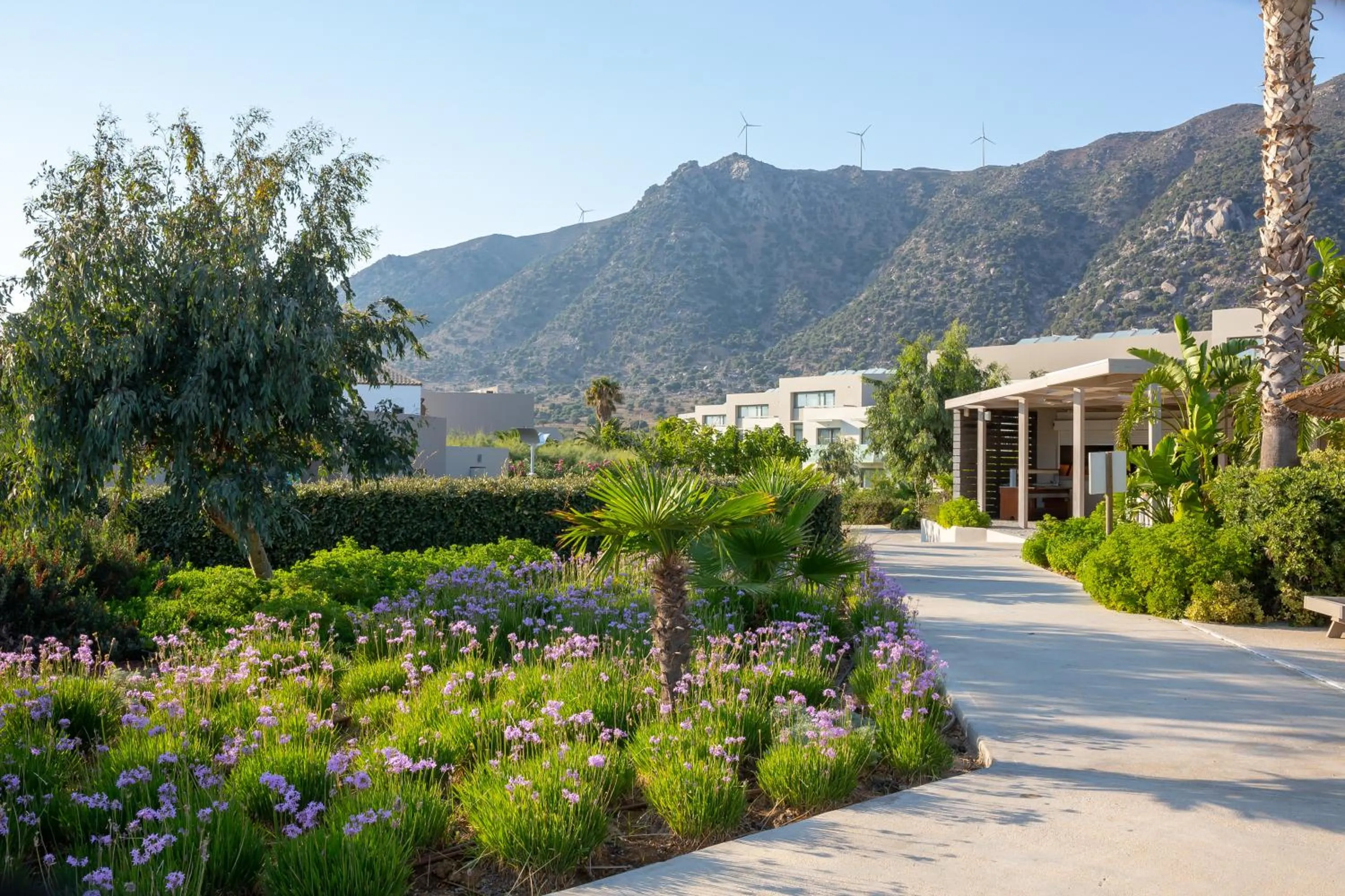 Patio in Akti Palace Hotel