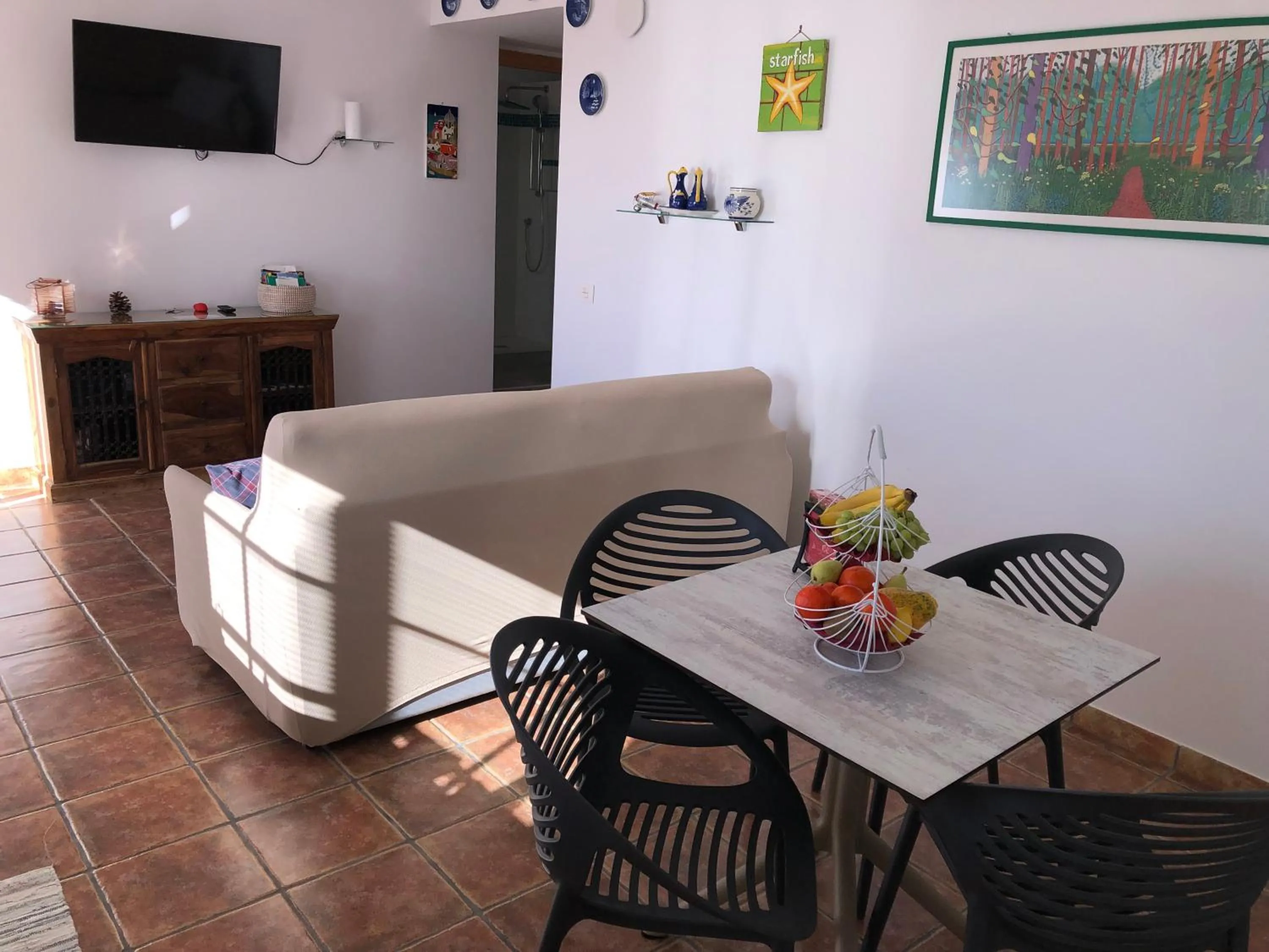 TV and multimedia in CASANTILVIA heated pool paradise