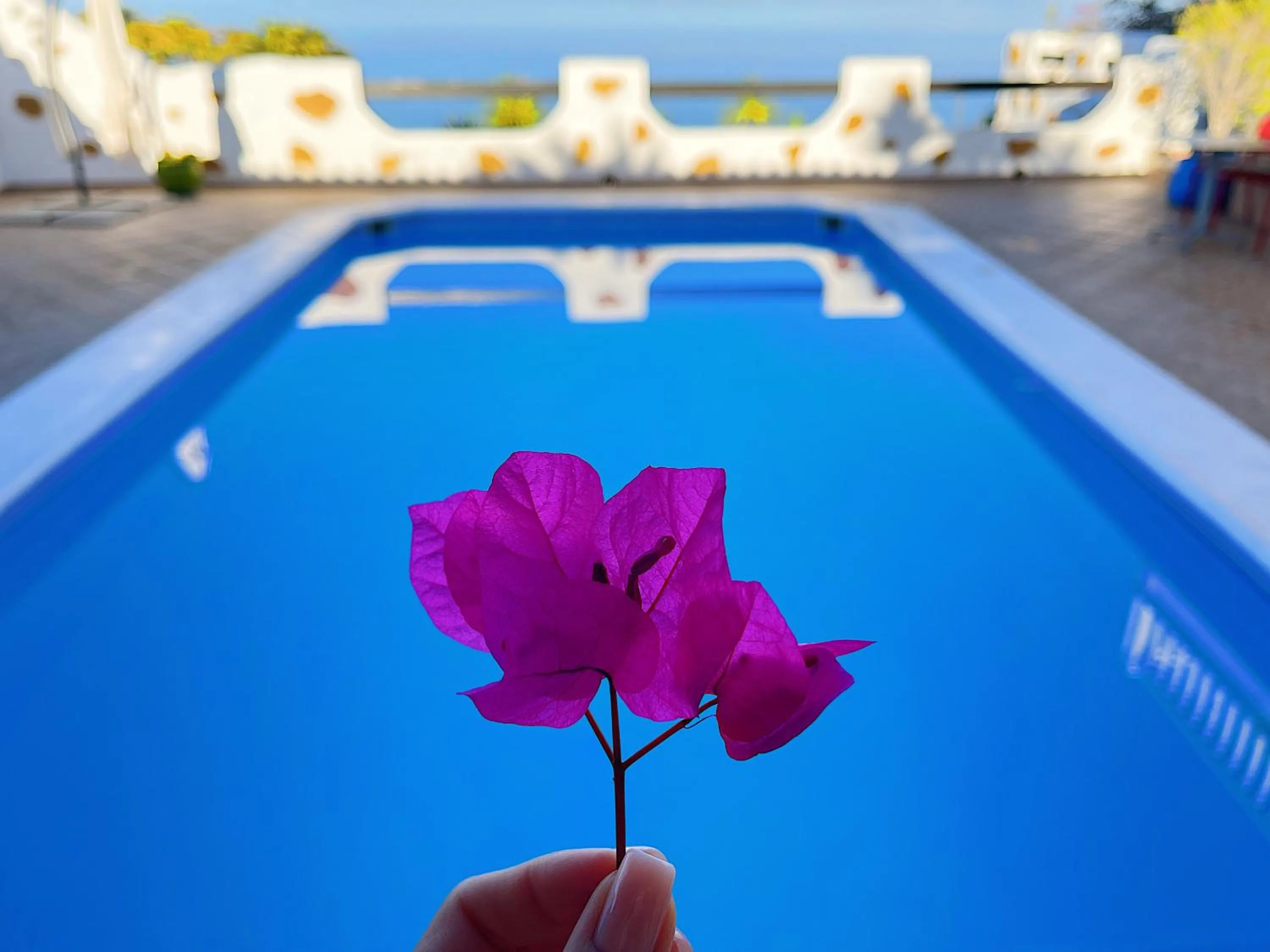 Swimming pool in CASANTILVIA heated pool paradise