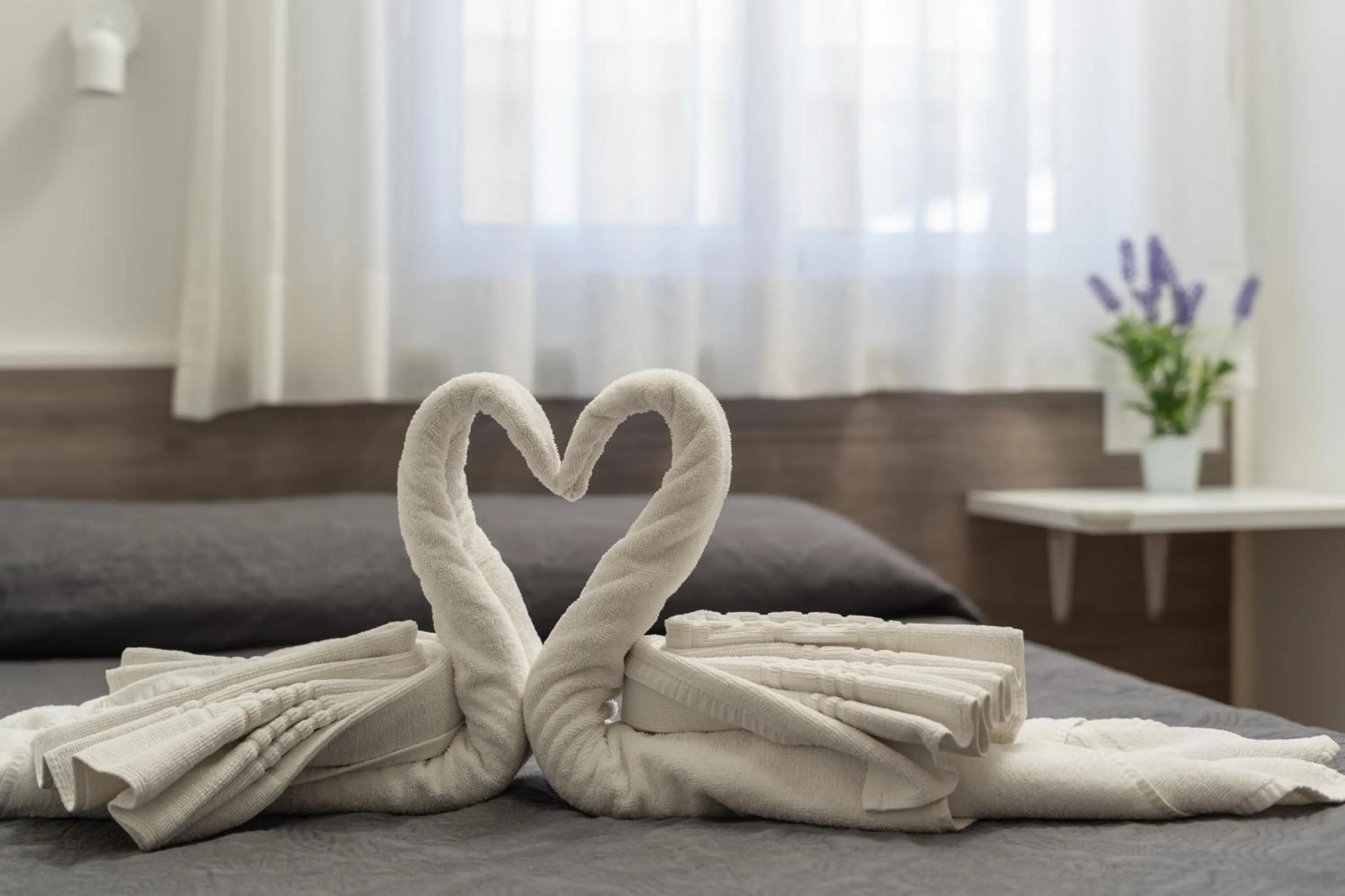 Other, Bed in Hotel Tolosa