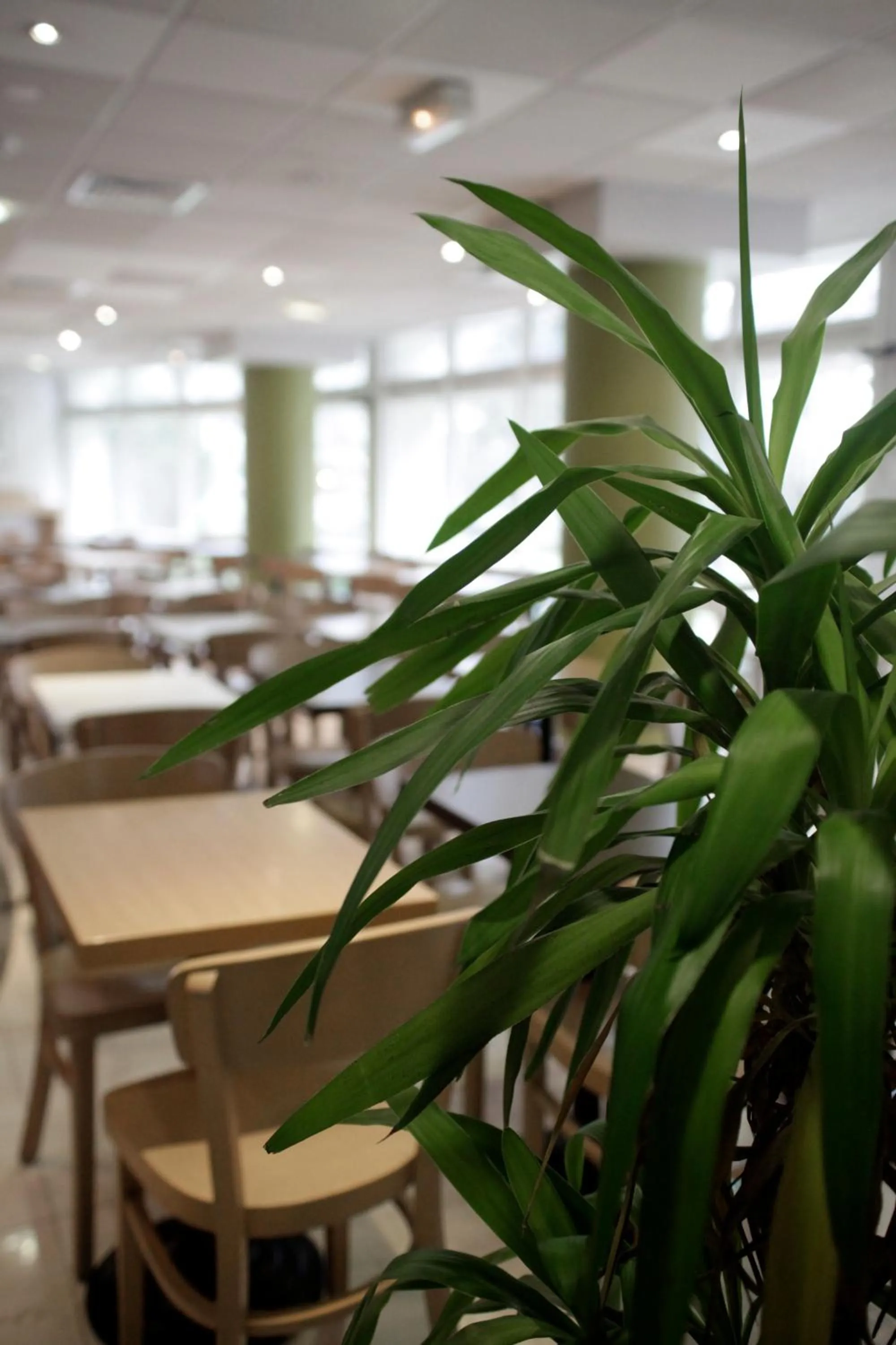 Restaurant/places to eat in B&B HOTEL Paris Malakoff Parc des Expositions