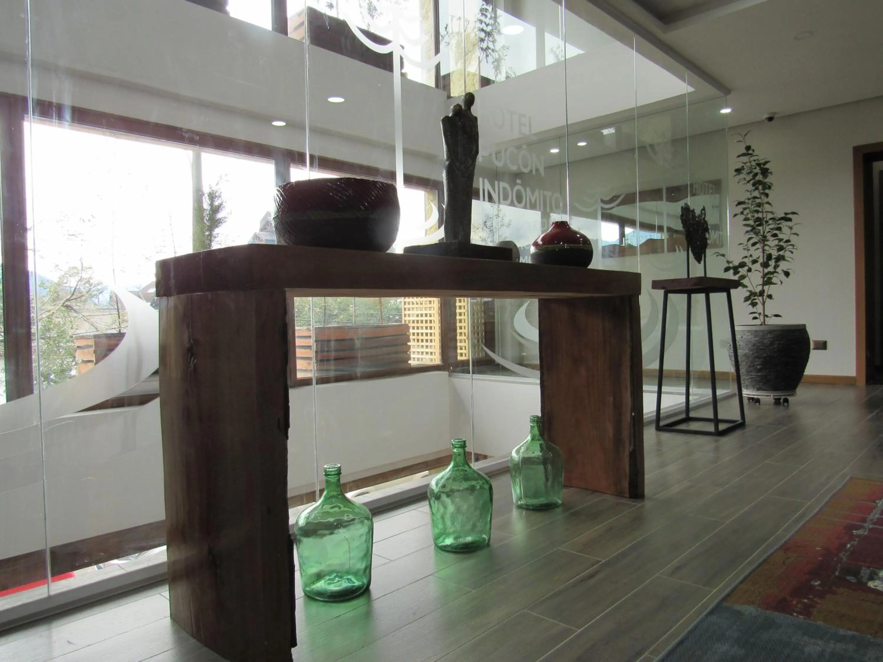 Decorative detail in Hotel Pucón Indómito