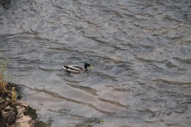 Natural landscape in Le Moulin de Benechou