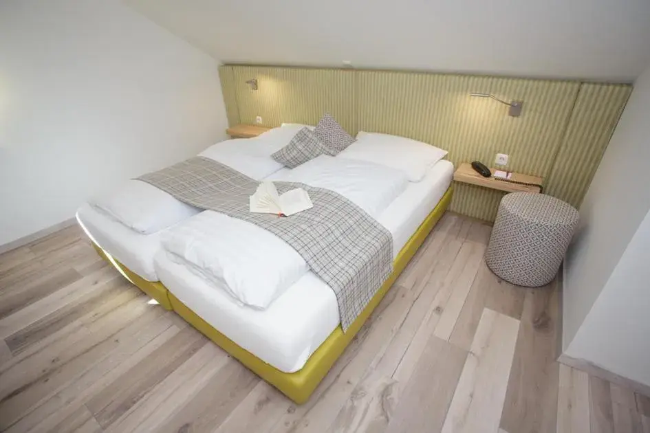 Double Room - single occupancy in Landgasthof Druschel Double Room - single occupancy in Landgasthof Druschel