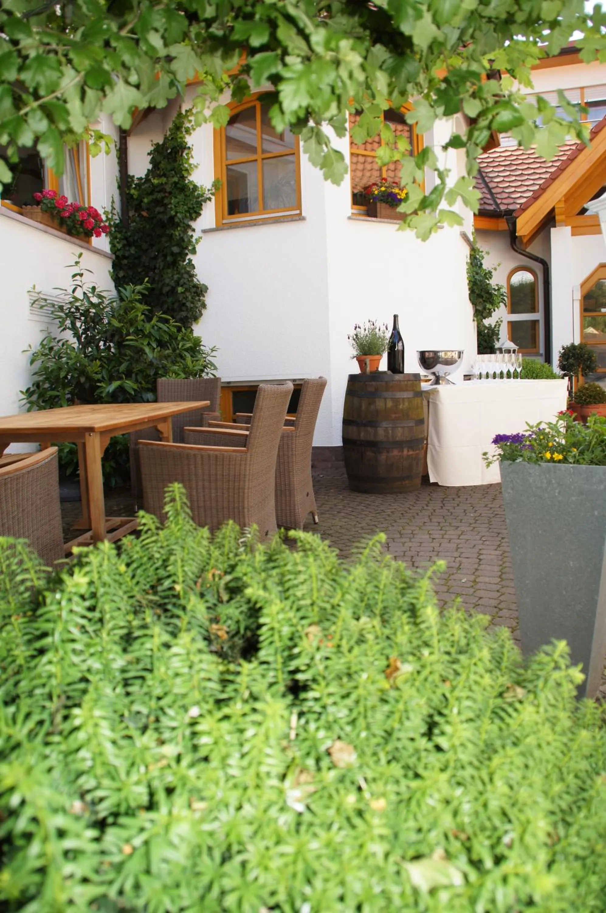 Patio in Landgasthof Druschel