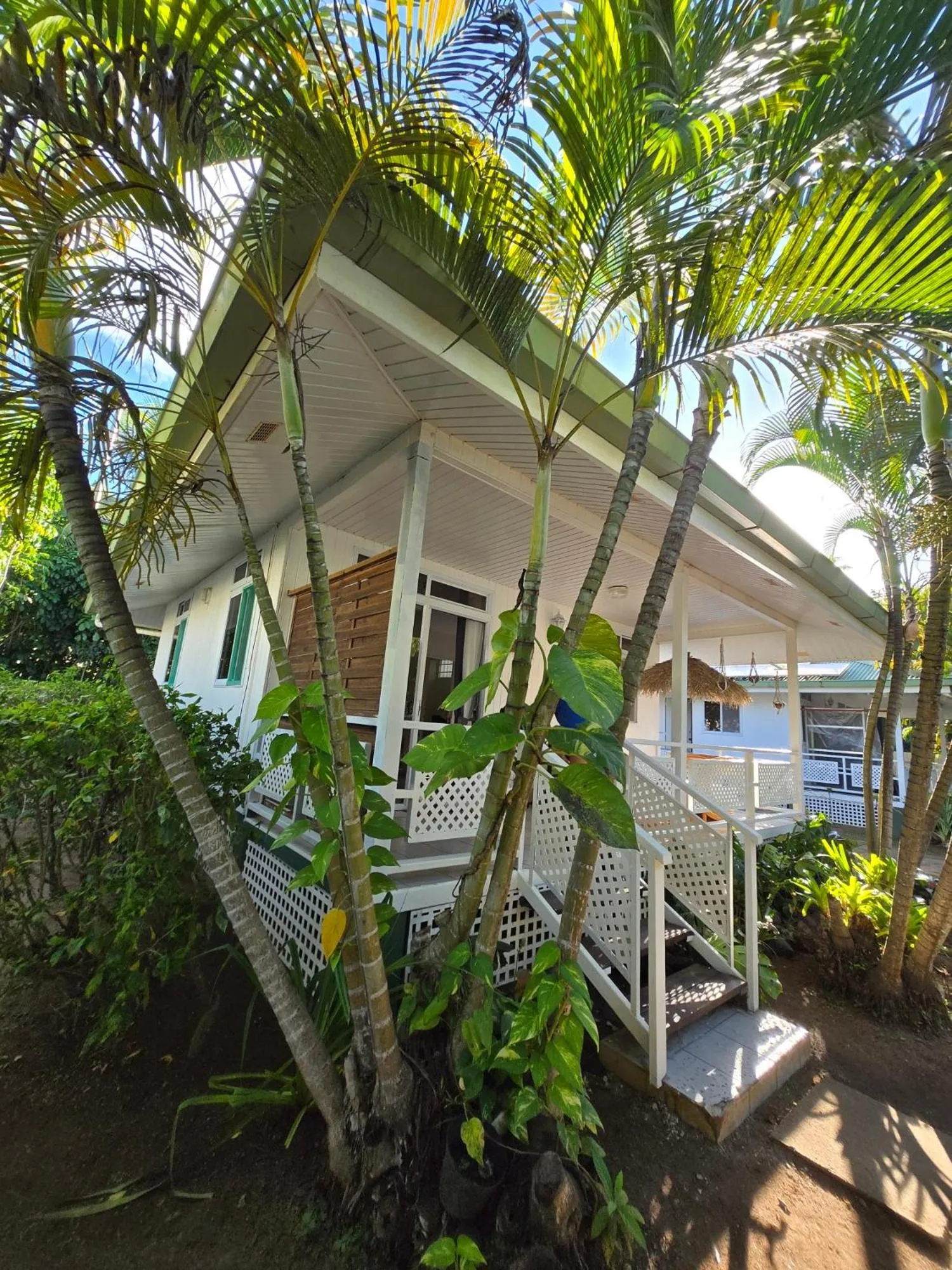 Garden in Secret Spot Lagoon Dream