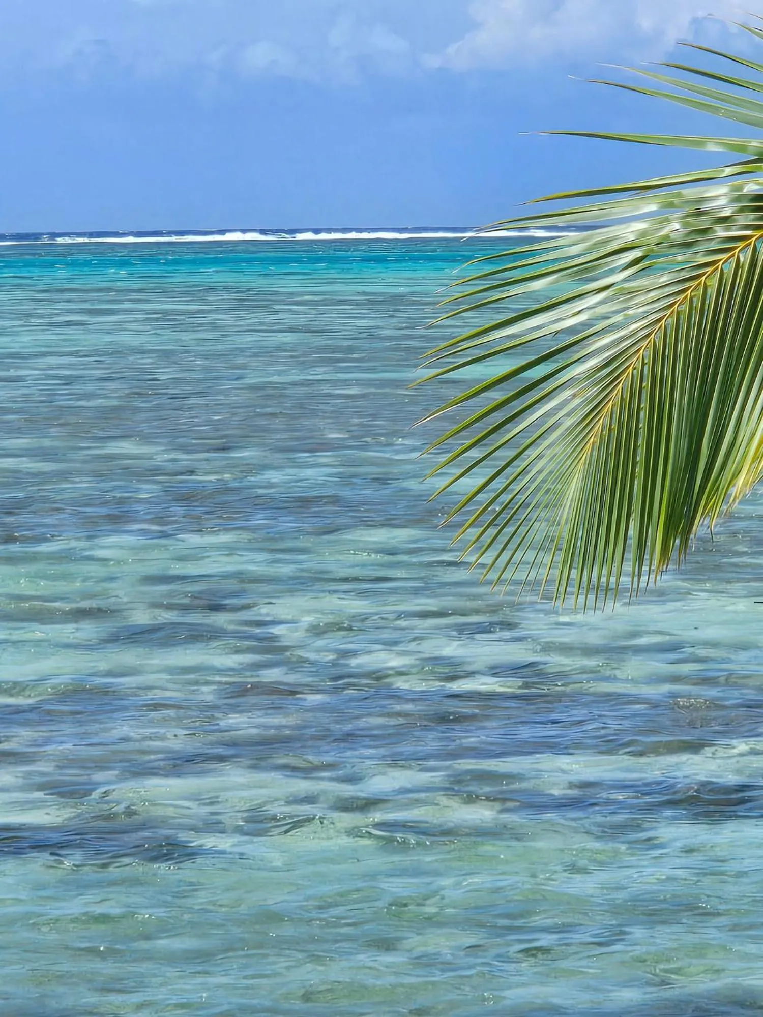 Natural landscape in Secret Spot Lagoon Dream