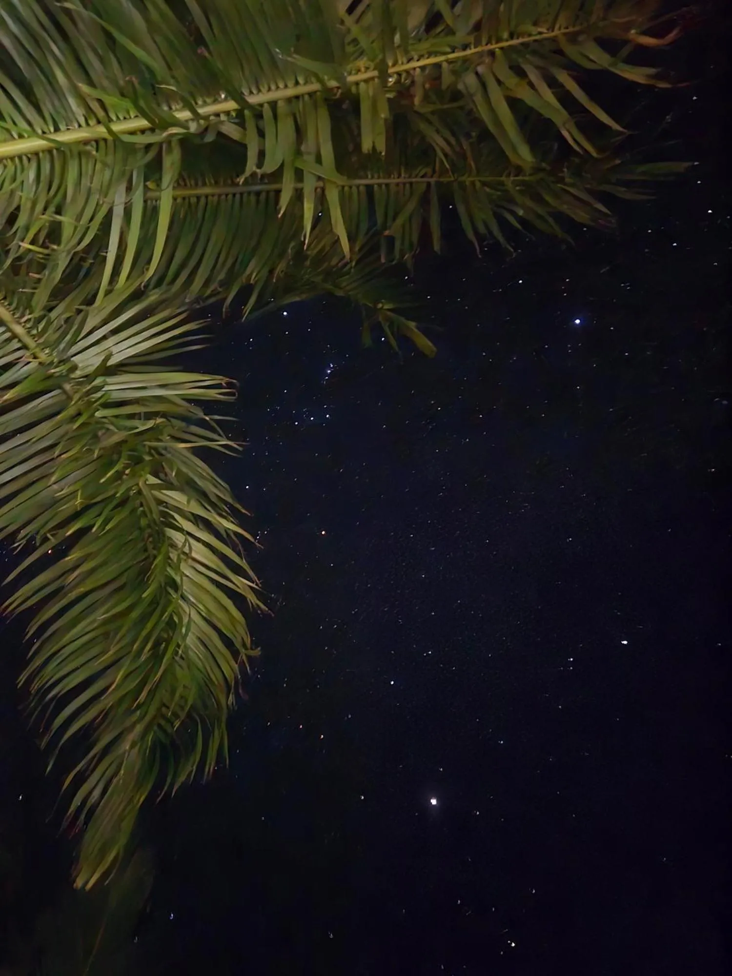 Night in Secret Spot Lagoon Dream