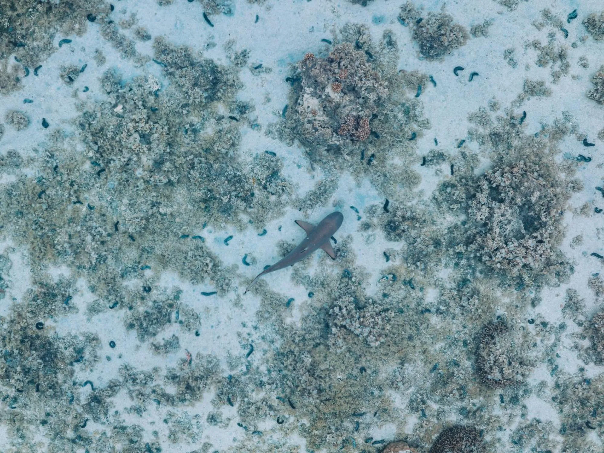 View (from property/room) in Secret Spot Lagoon Dream