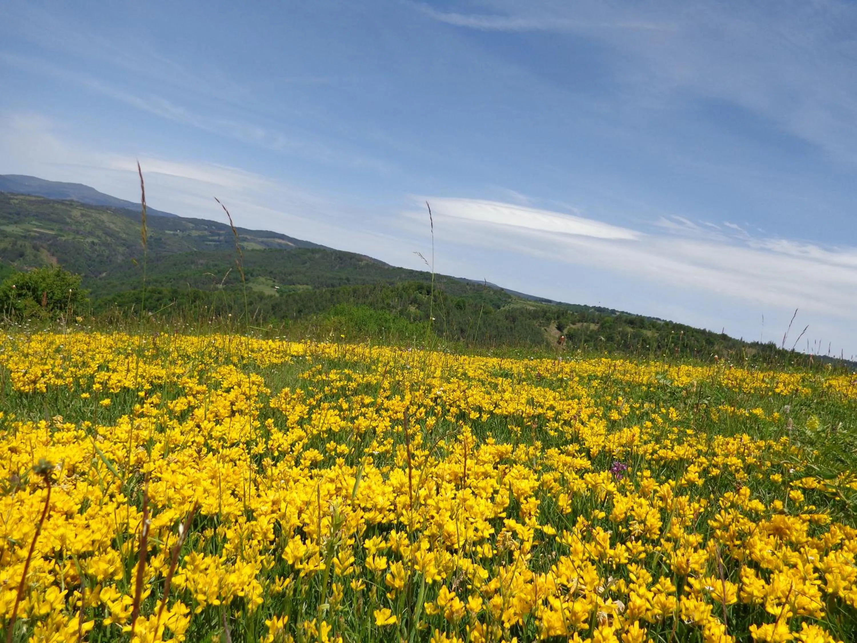 Hiking in Hotel Manastir Berovo