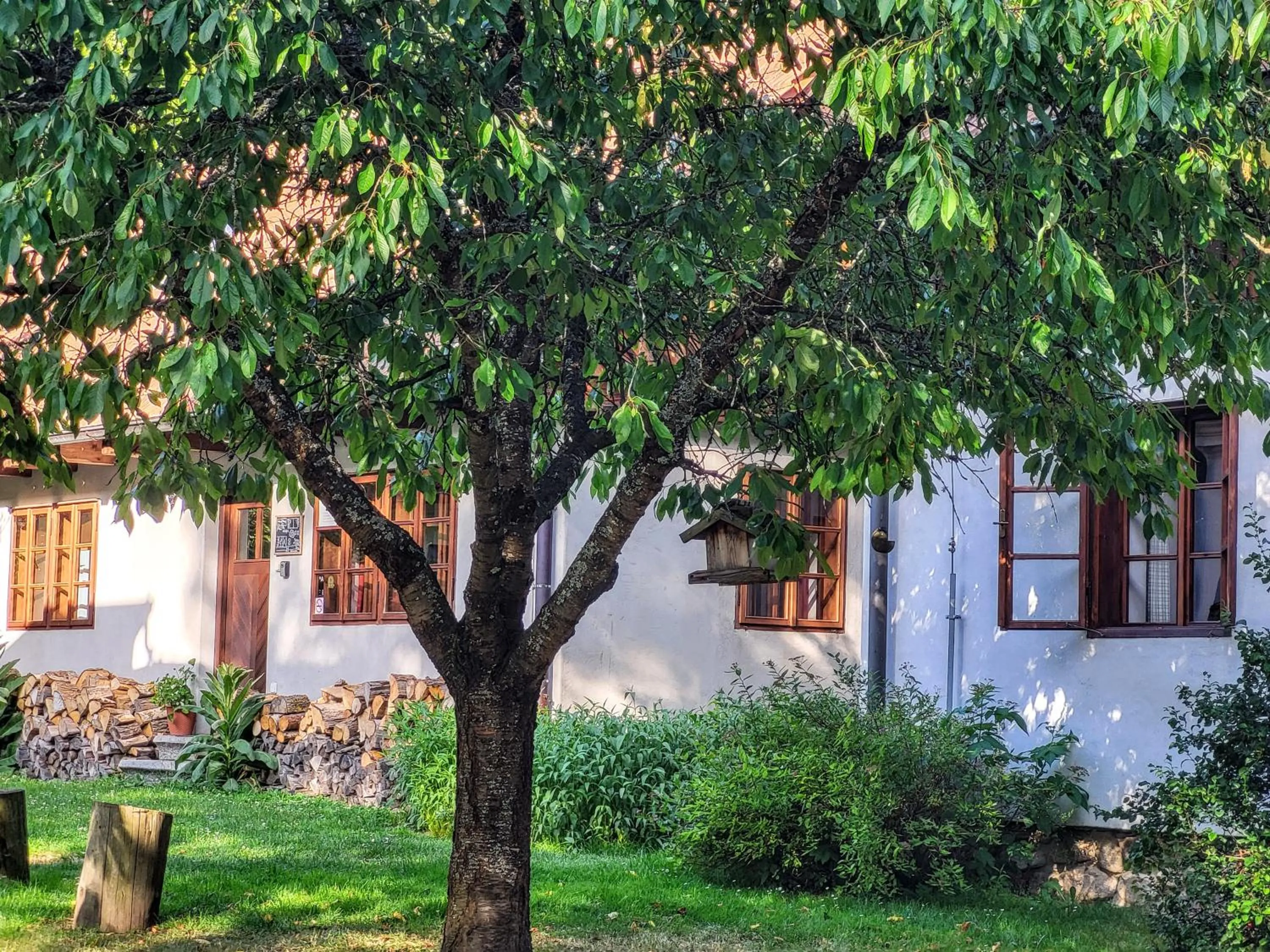 Apartmány Červený Dvůr