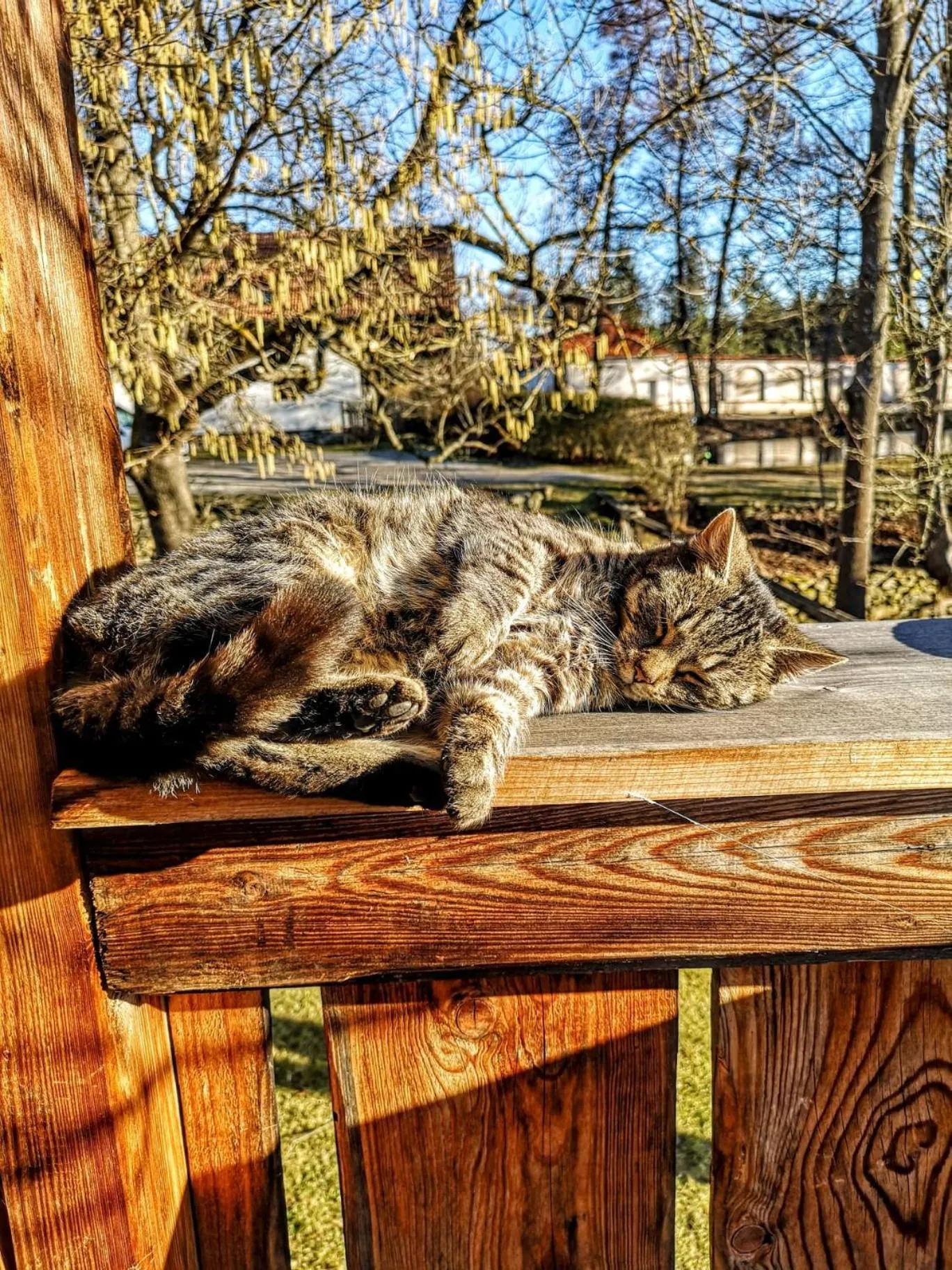 Pets in Apartmány Červený Dvůr