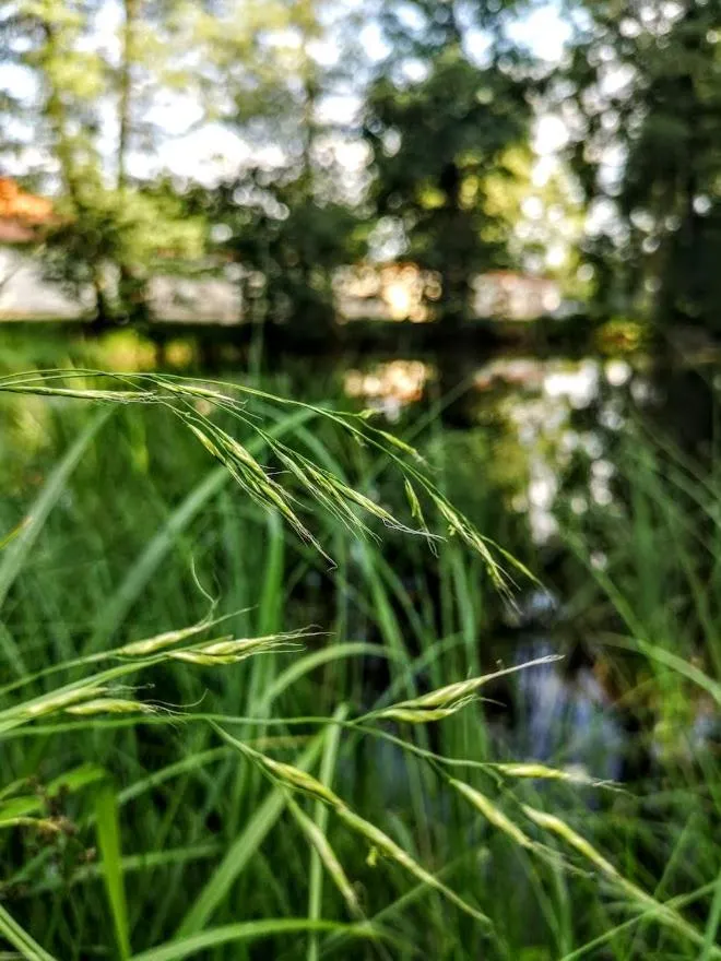 Lake view in Apartmány Červený Dvůr