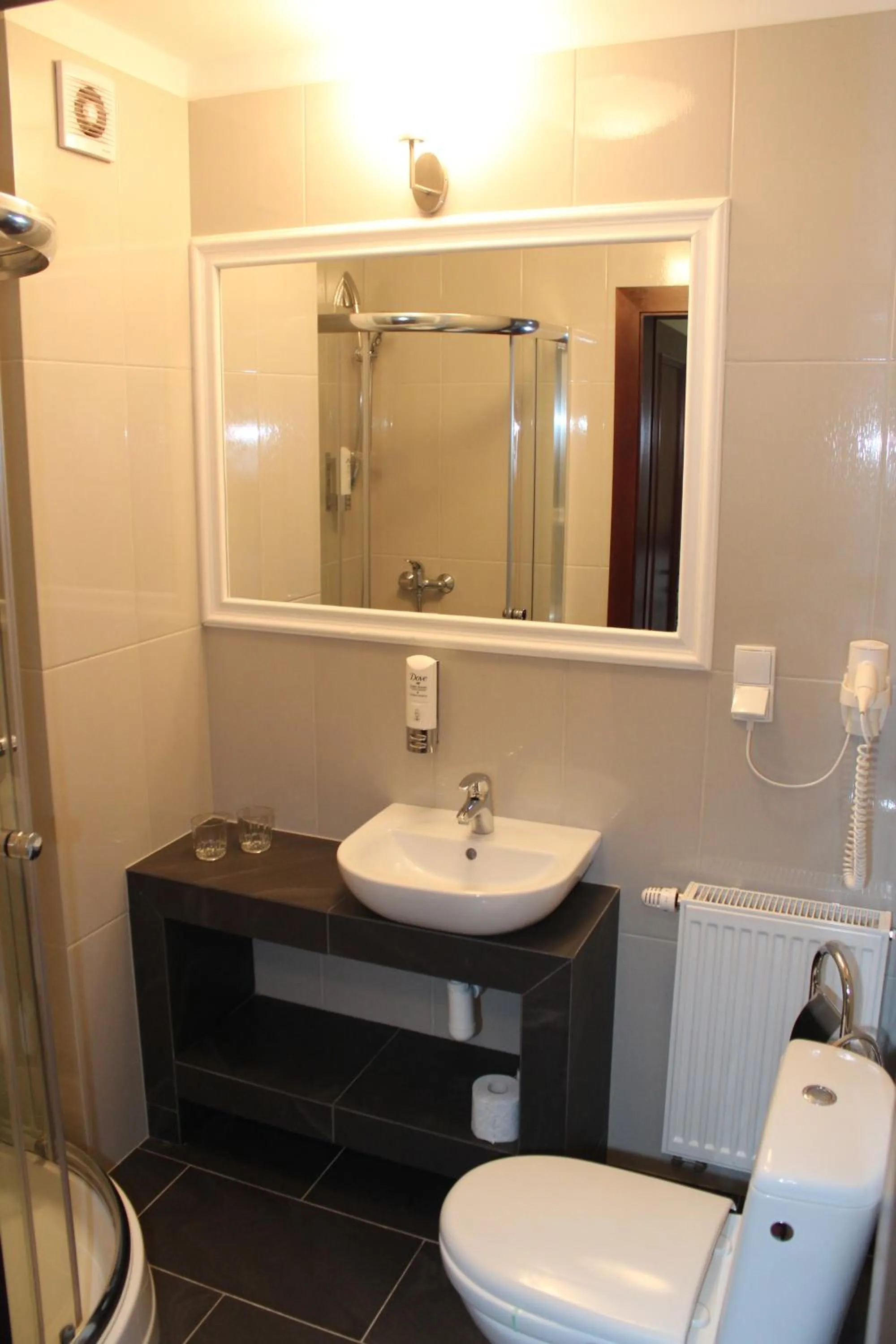 Toilet in Pałac Pawłowice