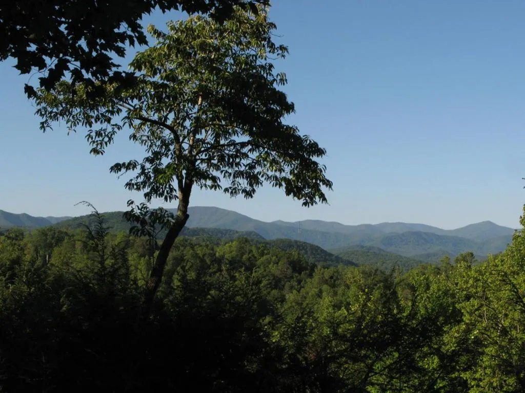 Cub’s Cove, 1 Bedroom, Near Downtown, View, Jetted Tub, WiFi, Sleeps 4