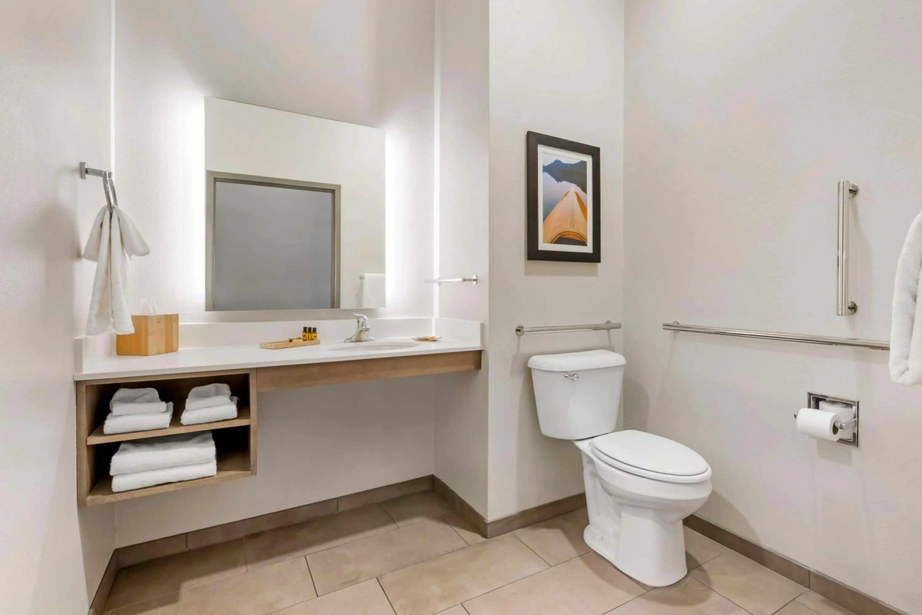 Bathroom in Best Western Plus LaCrescent - LaCrosse