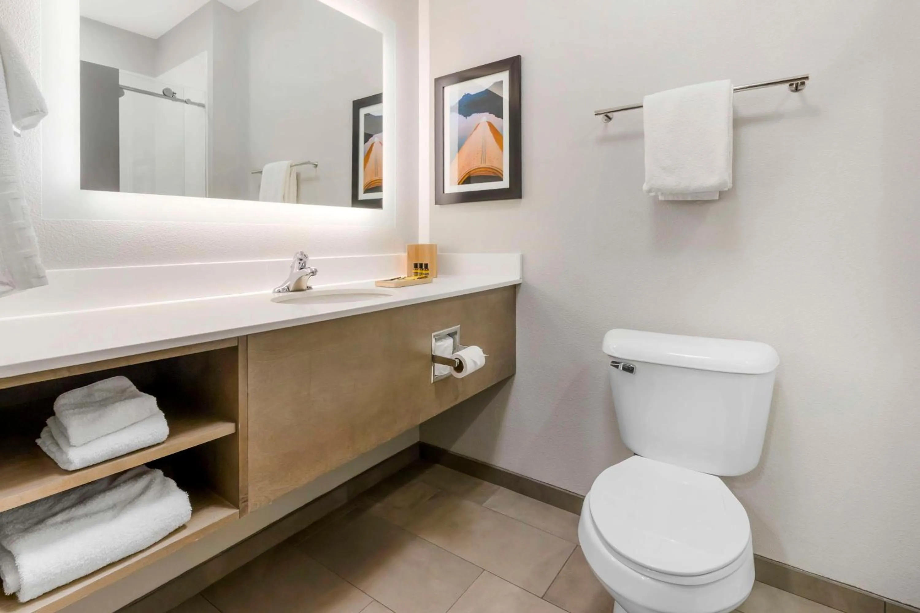 Bathroom in Best Western Plus LaCrescent - LaCrosse