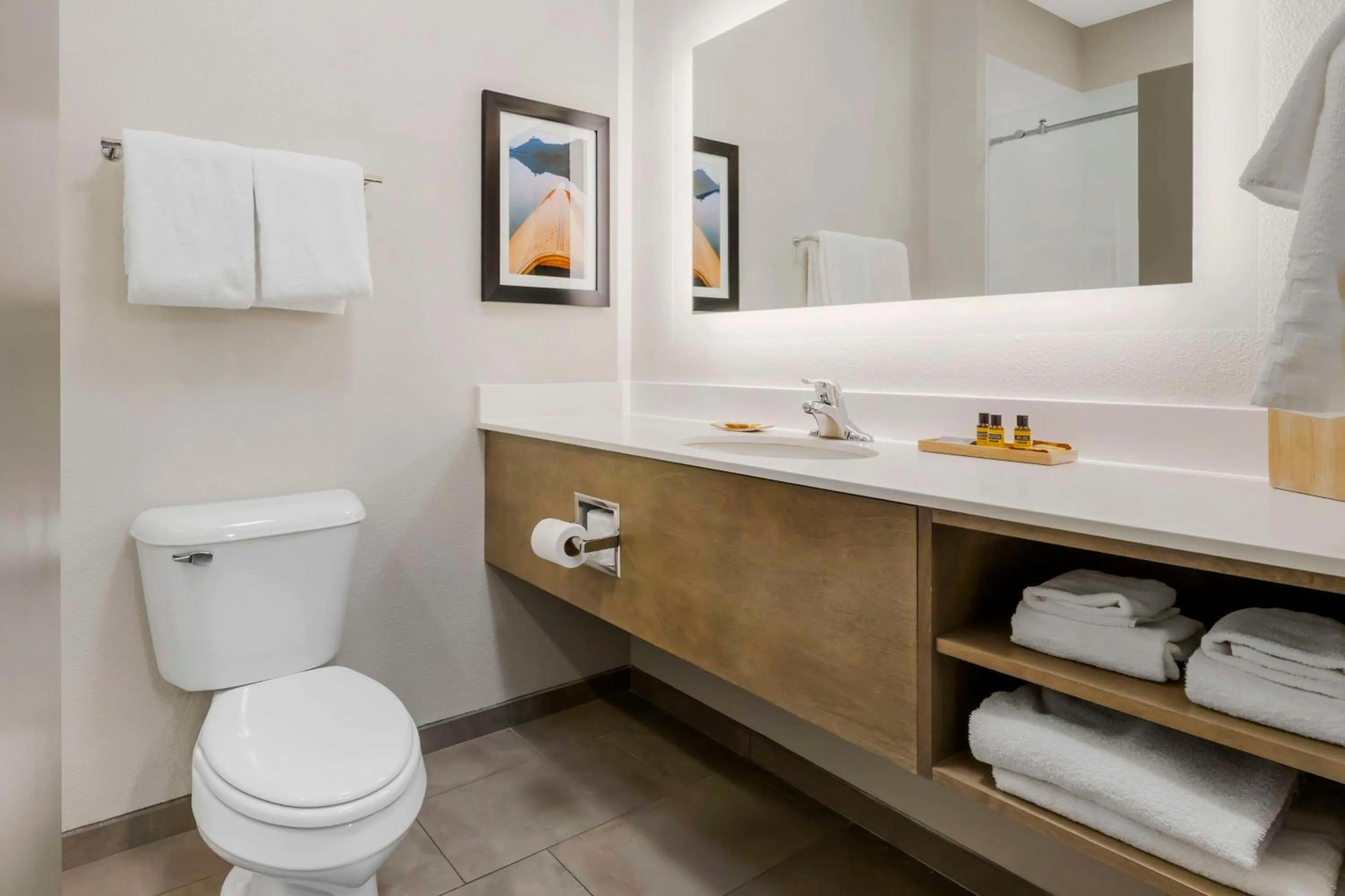 Bathroom in Best Western Plus LaCrescent - LaCrosse