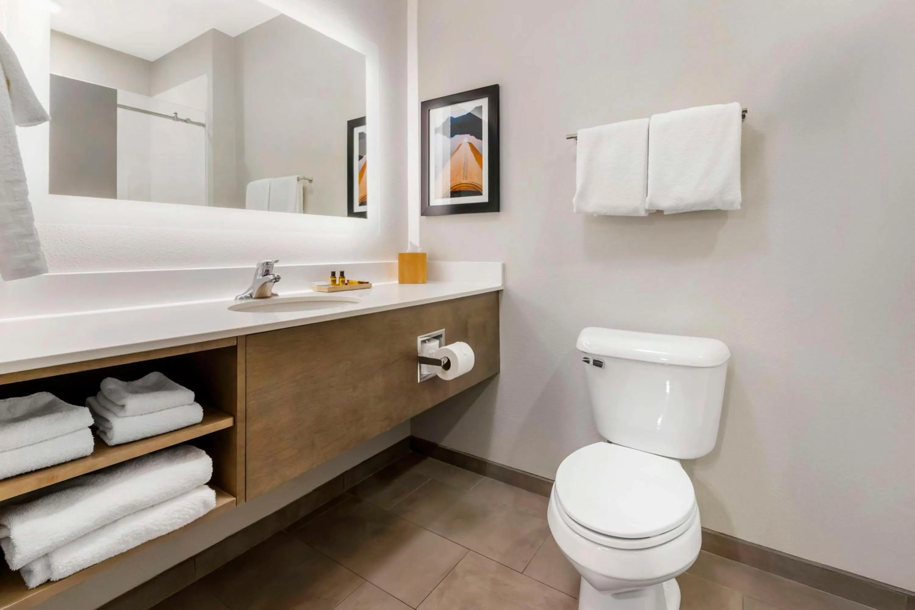 Bathroom in Best Western Plus LaCrescent - LaCrosse