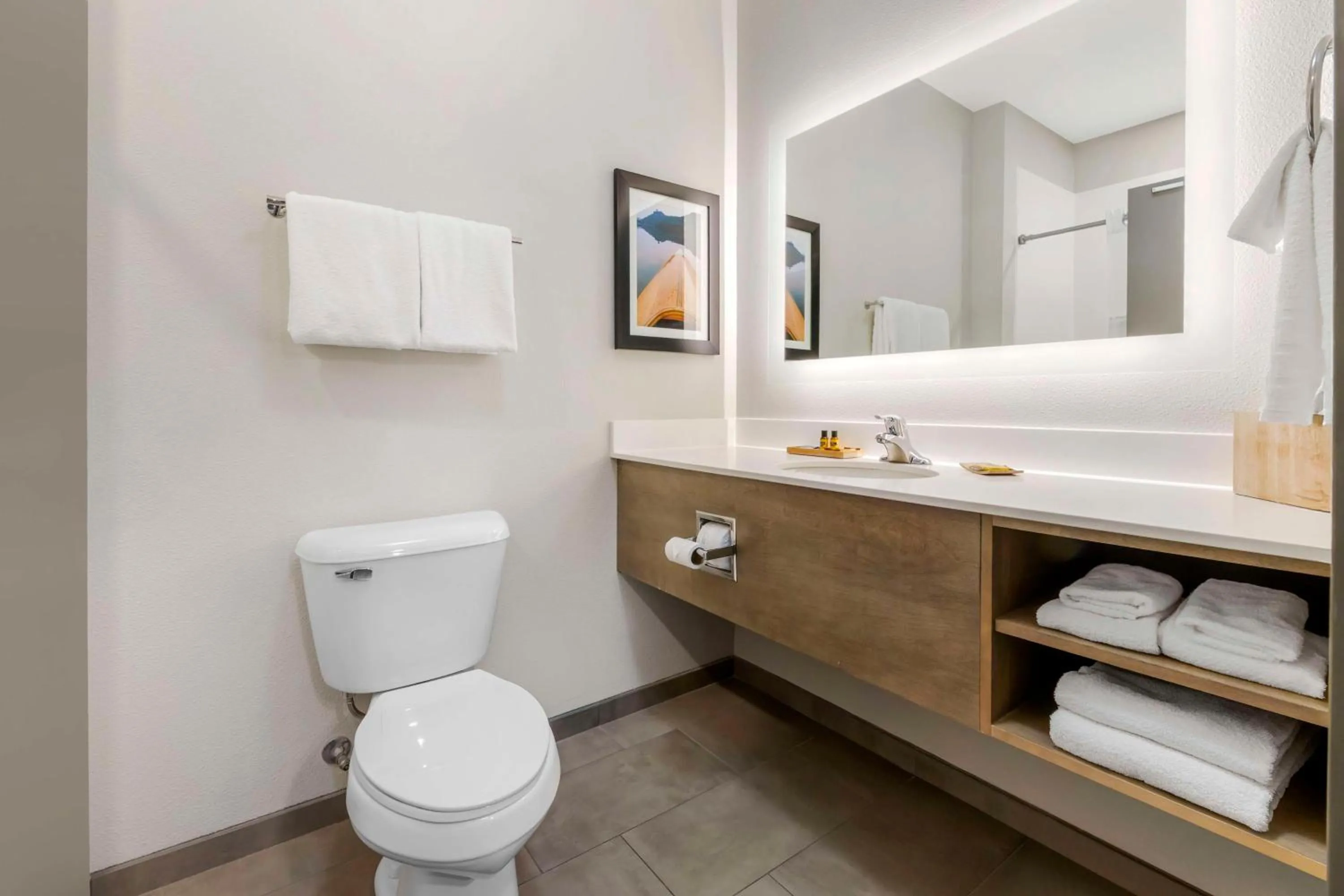 Bathroom in Best Western Plus LaCrescent - LaCrosse