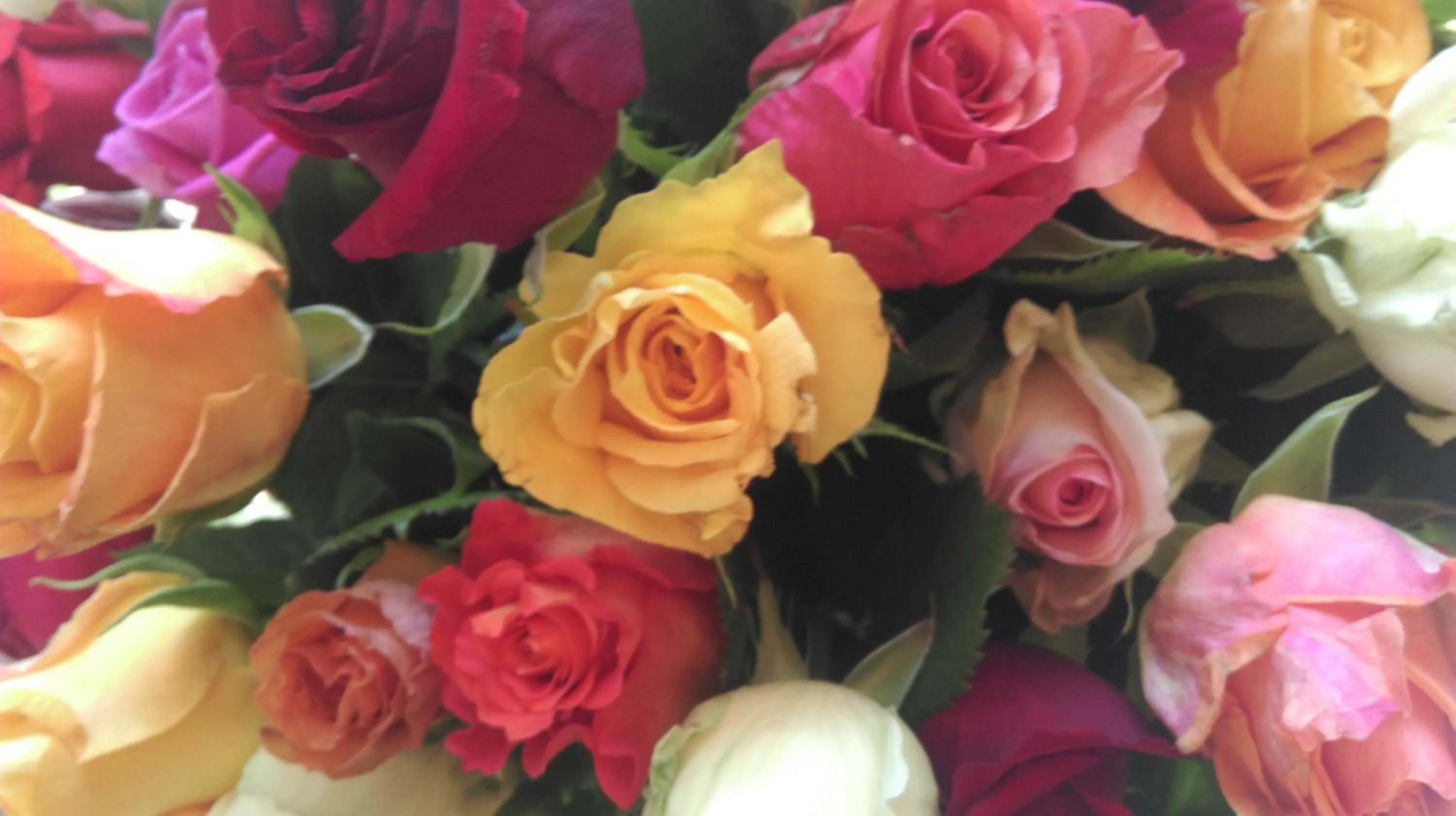 Summer in Schlosshotel Betzenstein