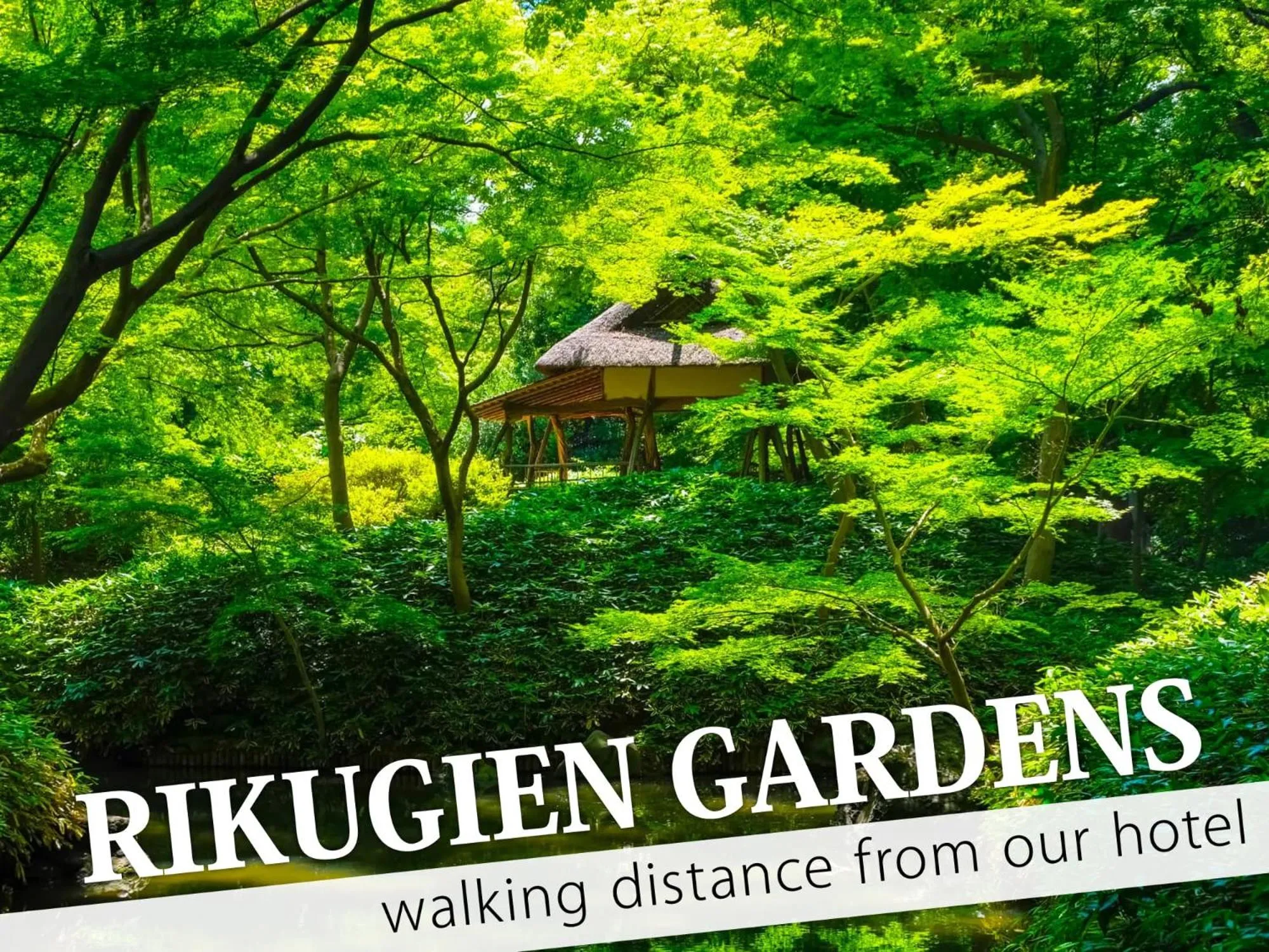 Nearby landmark in Hotel Gran Villa