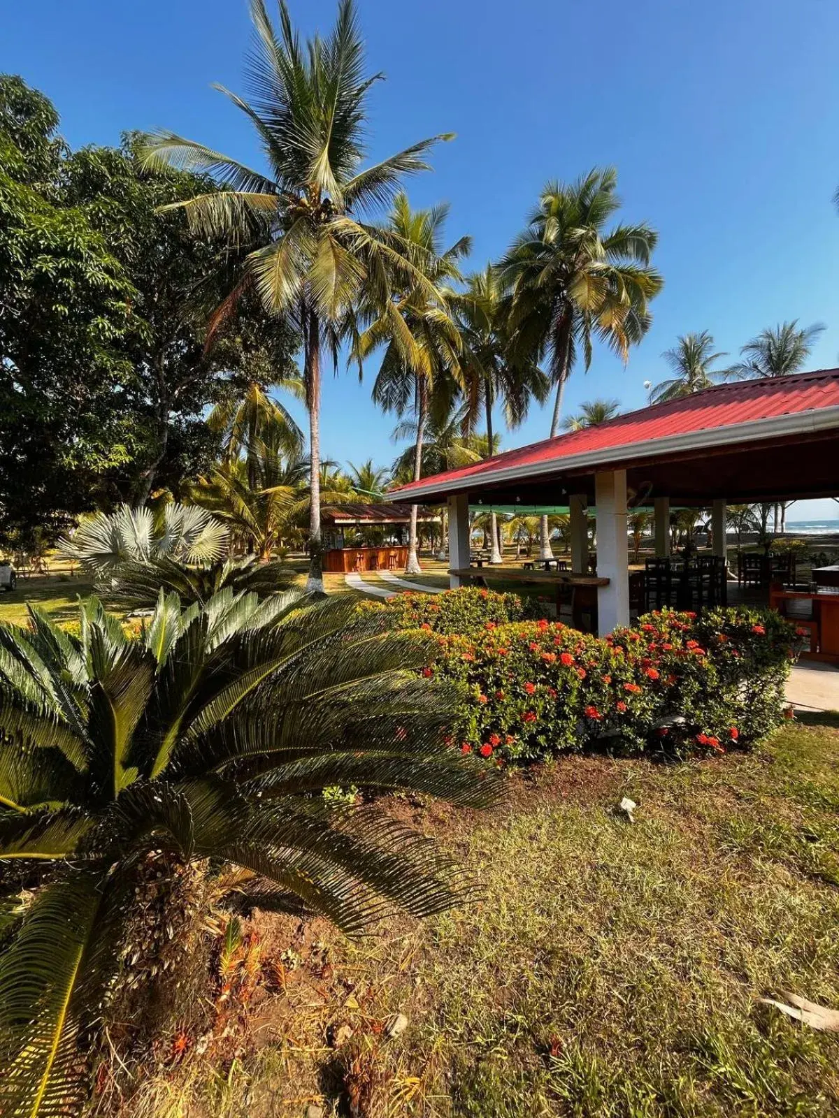 Restaurant/places to eat in Tranquilidad Resort Restaurant/places to eat in Tranquilidad Resort