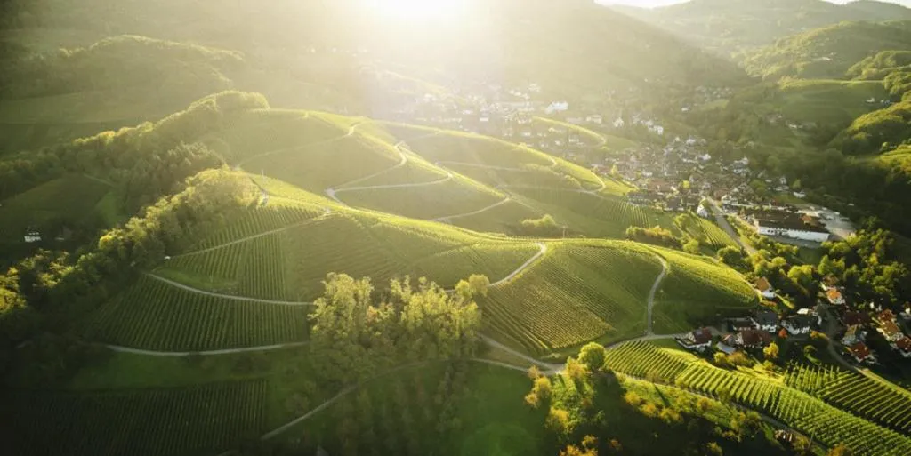 Natural landscape in Hotel Restaurant Der Engel, Sasbachwalden