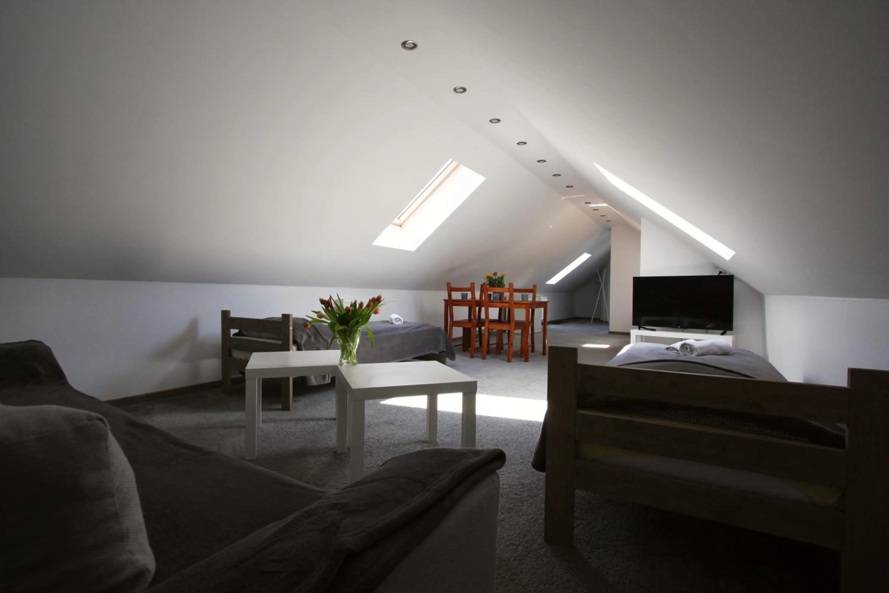 TV and multimedia in Pokoje Nadrzeczna 45