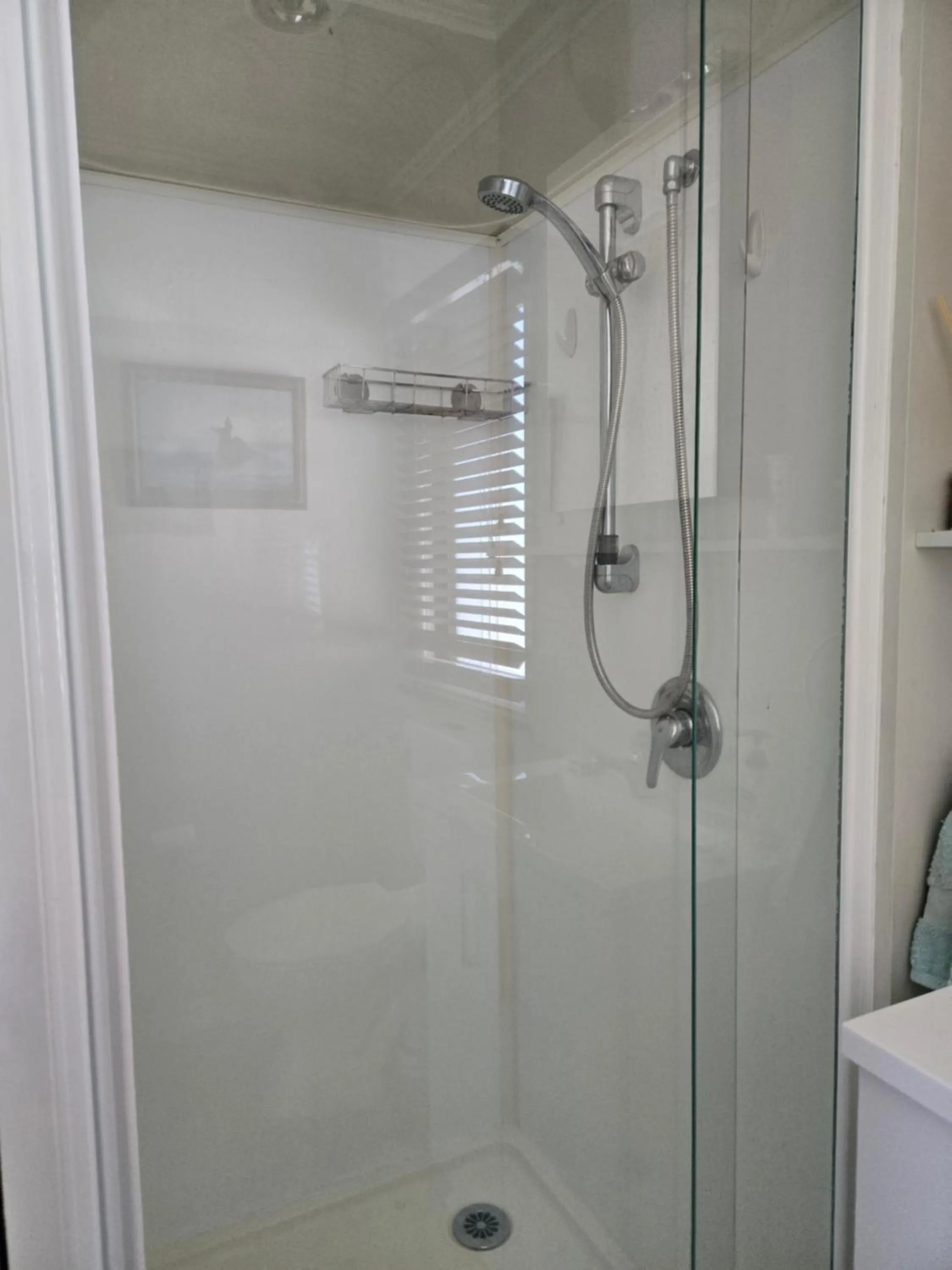 Te Puru Holiday Park