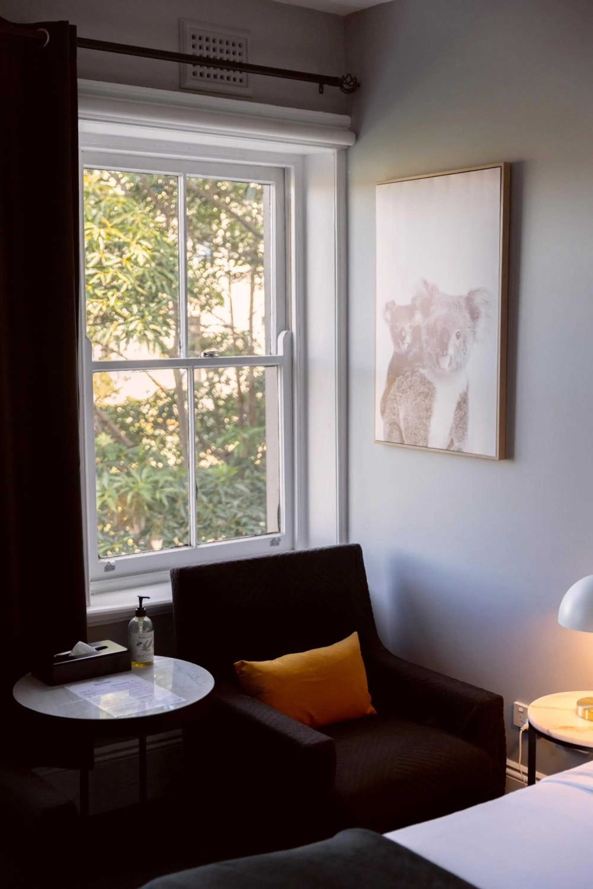 Bayswater Boutique Lodge - Potts Point