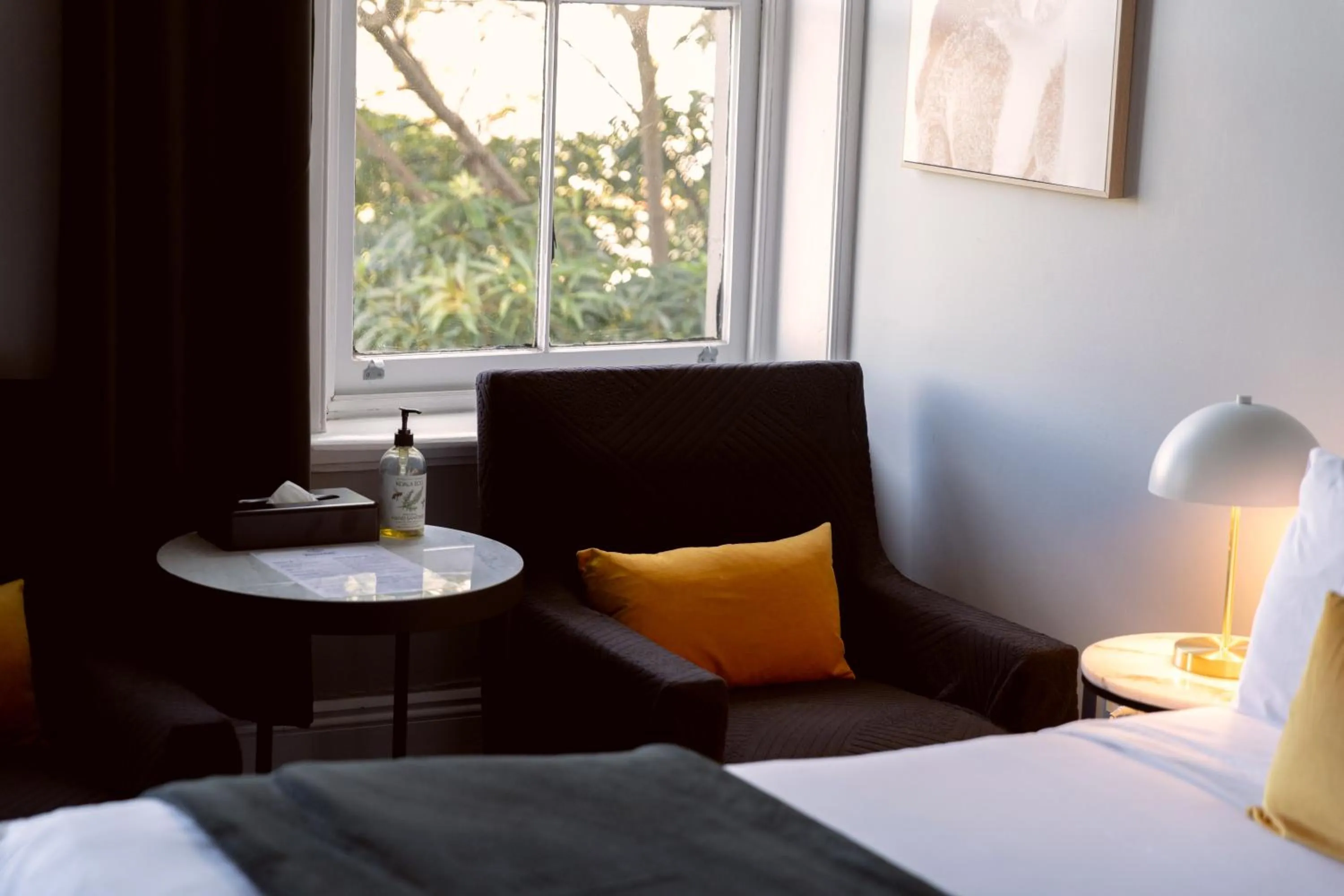 Bed in Bayswater Boutique Lodge - Potts Point