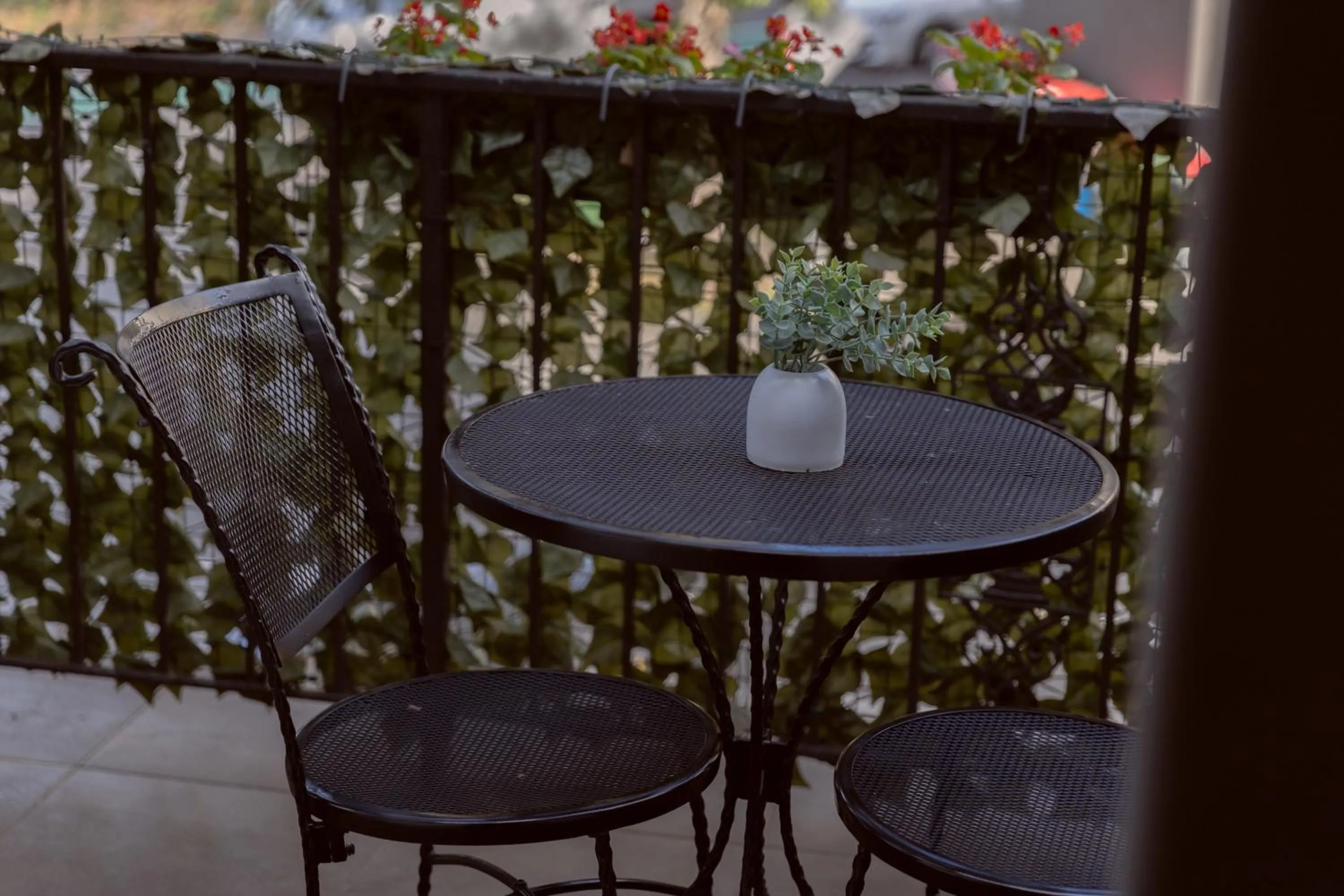 Bayswater Boutique Lodge - Potts Point