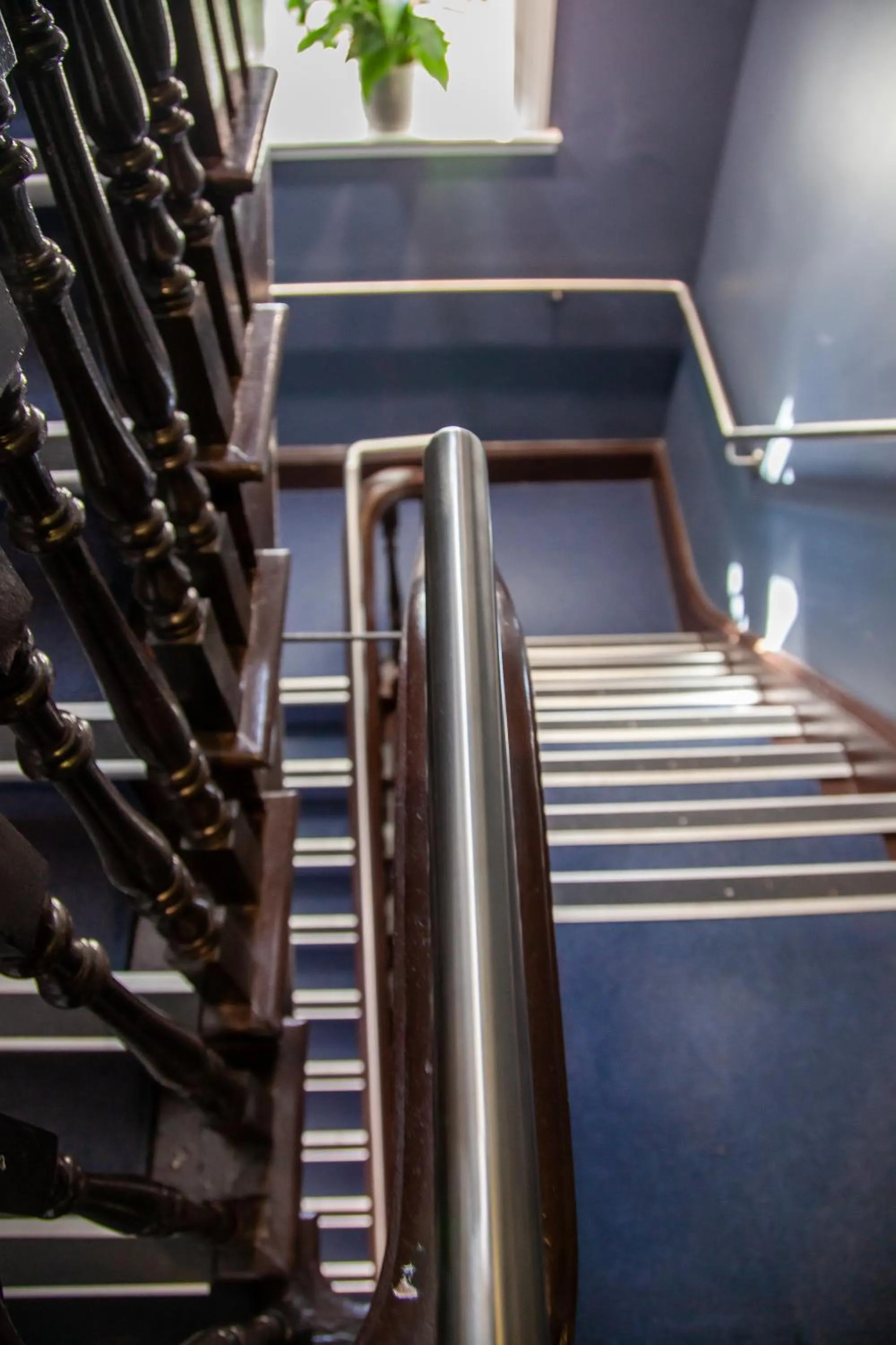 Bayswater Boutique Lodge - Potts Point