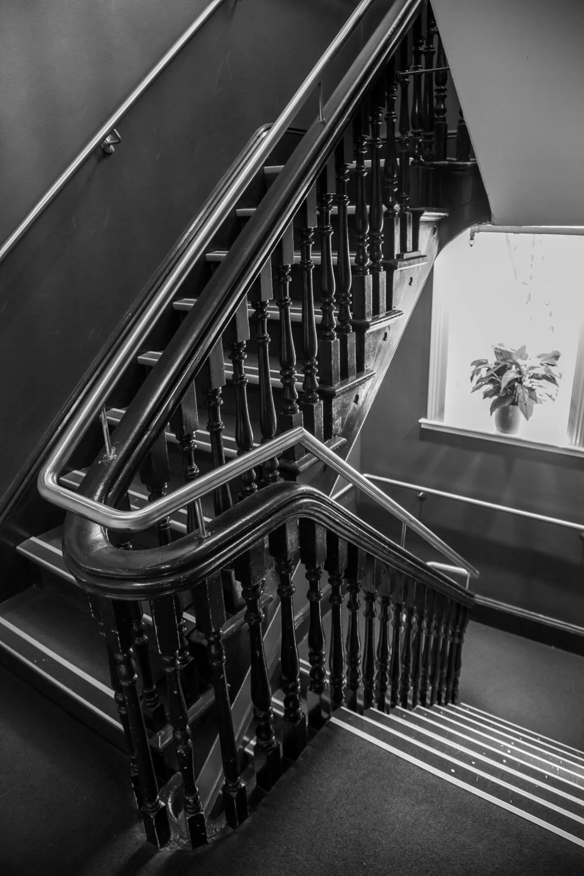 Bayswater Boutique Lodge - Potts Point